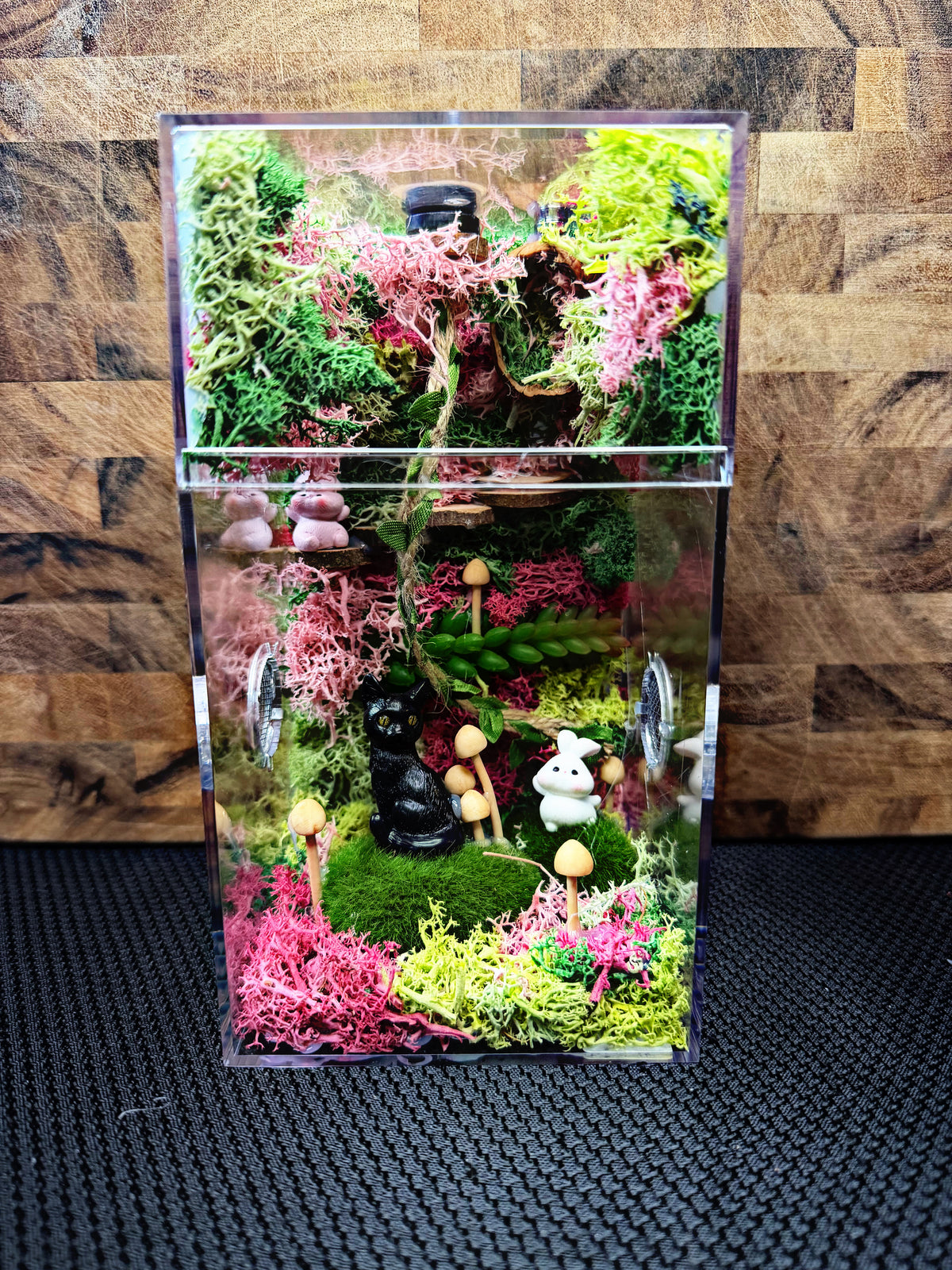 Custom Jumping Spider Enclosure