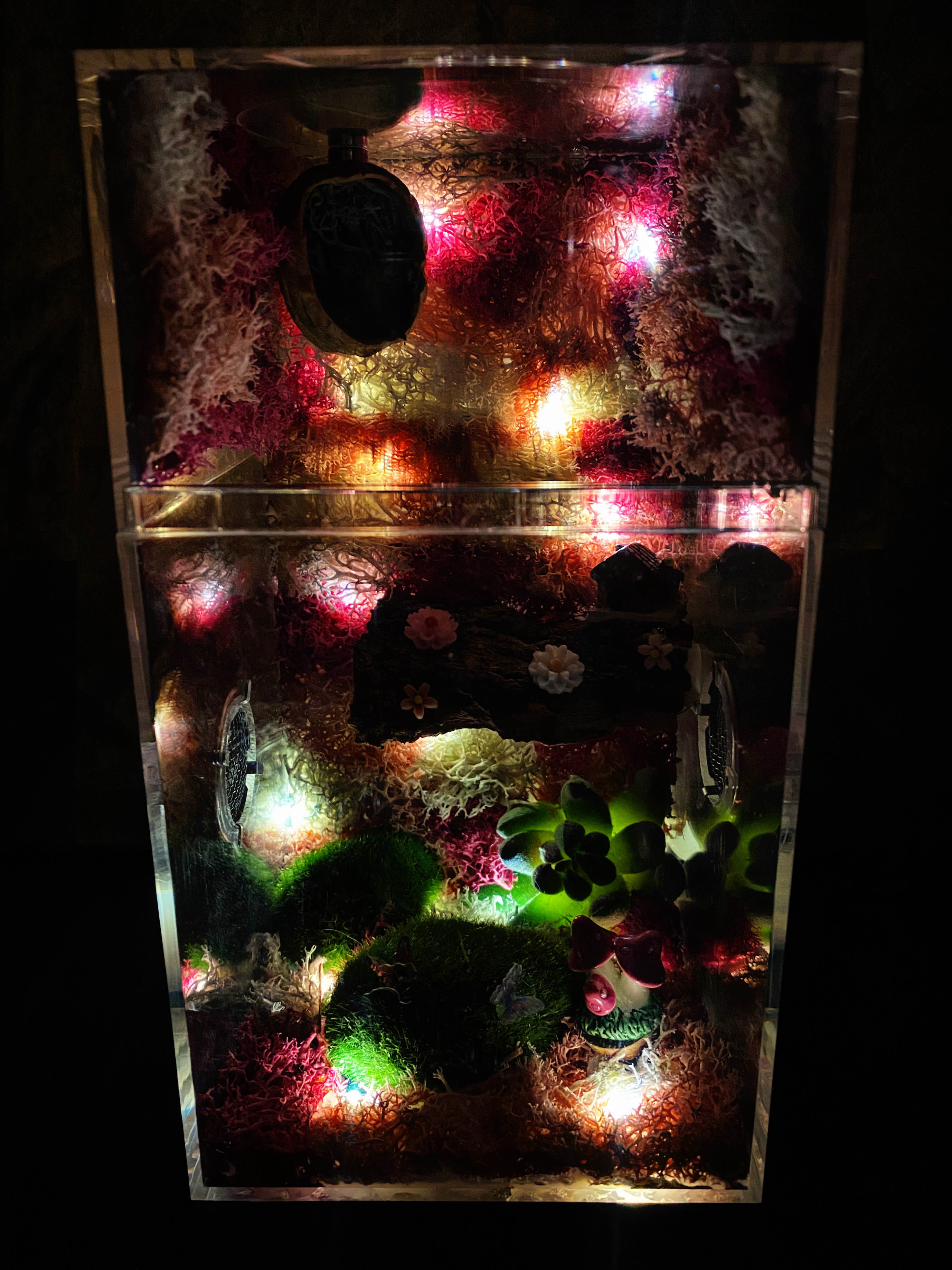 ~Fairy Lights~ Custom Jumping Spider Enclosure