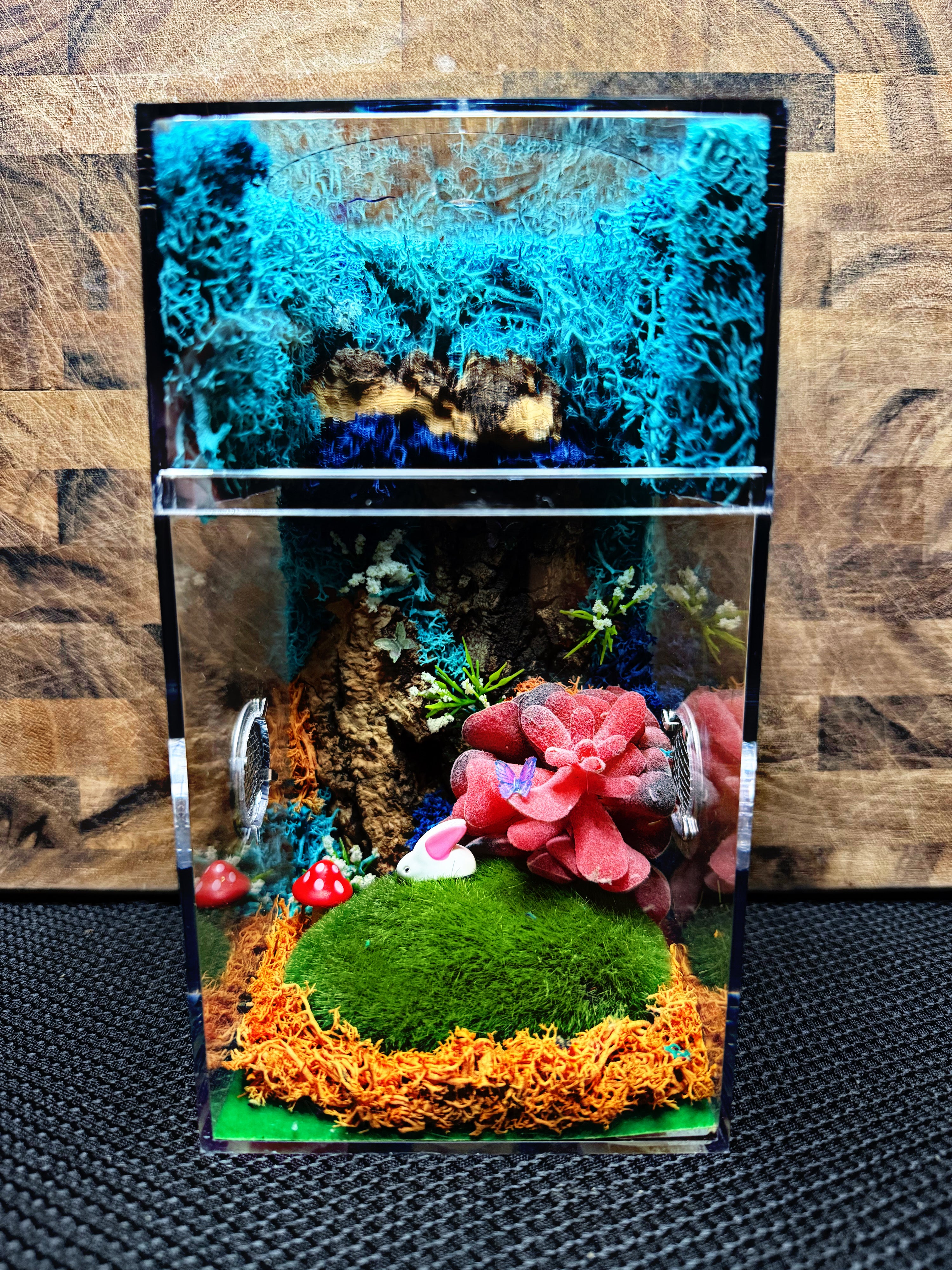 Custom Jumping Spider Enclosure