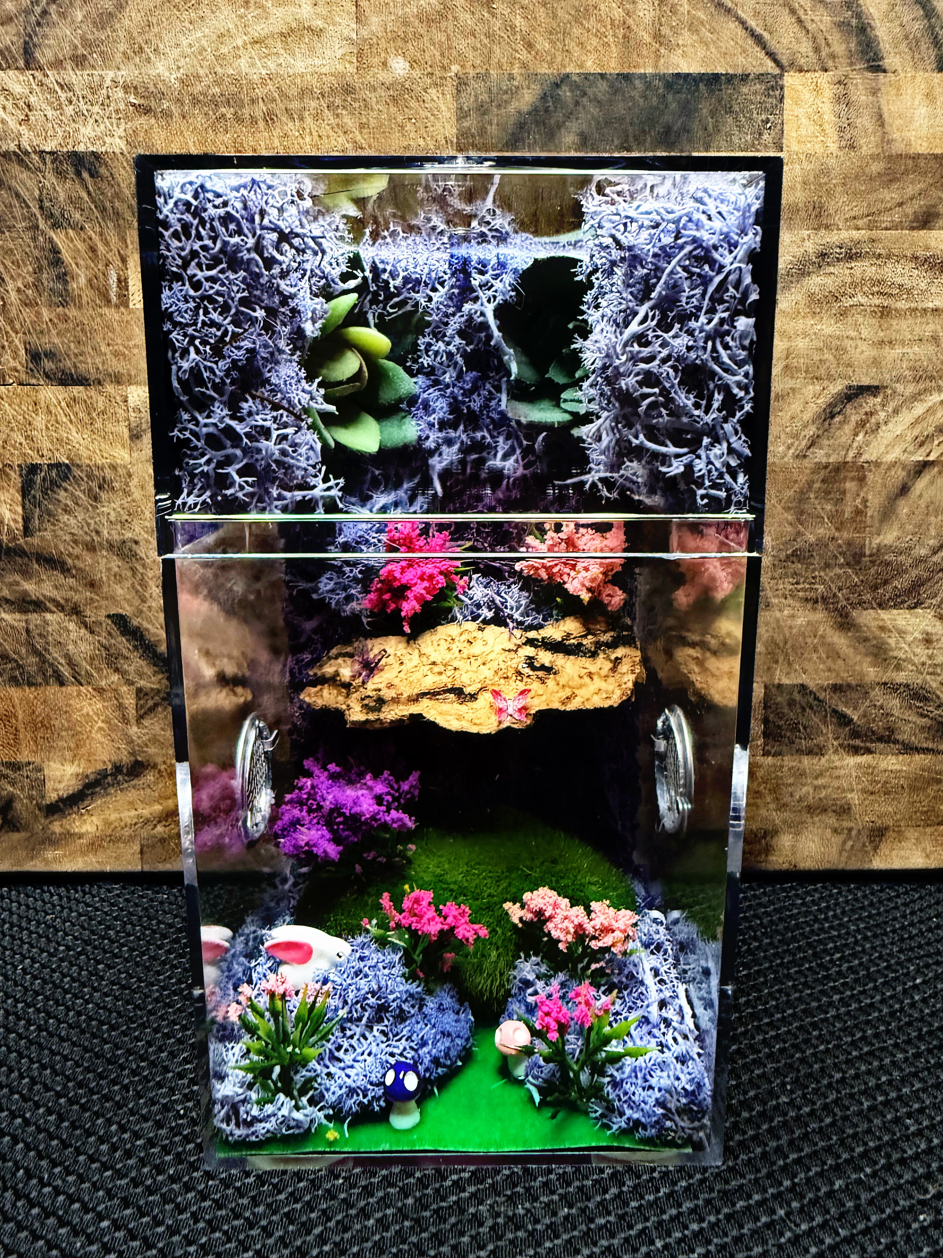 Custom Jumping Spider Enclosure