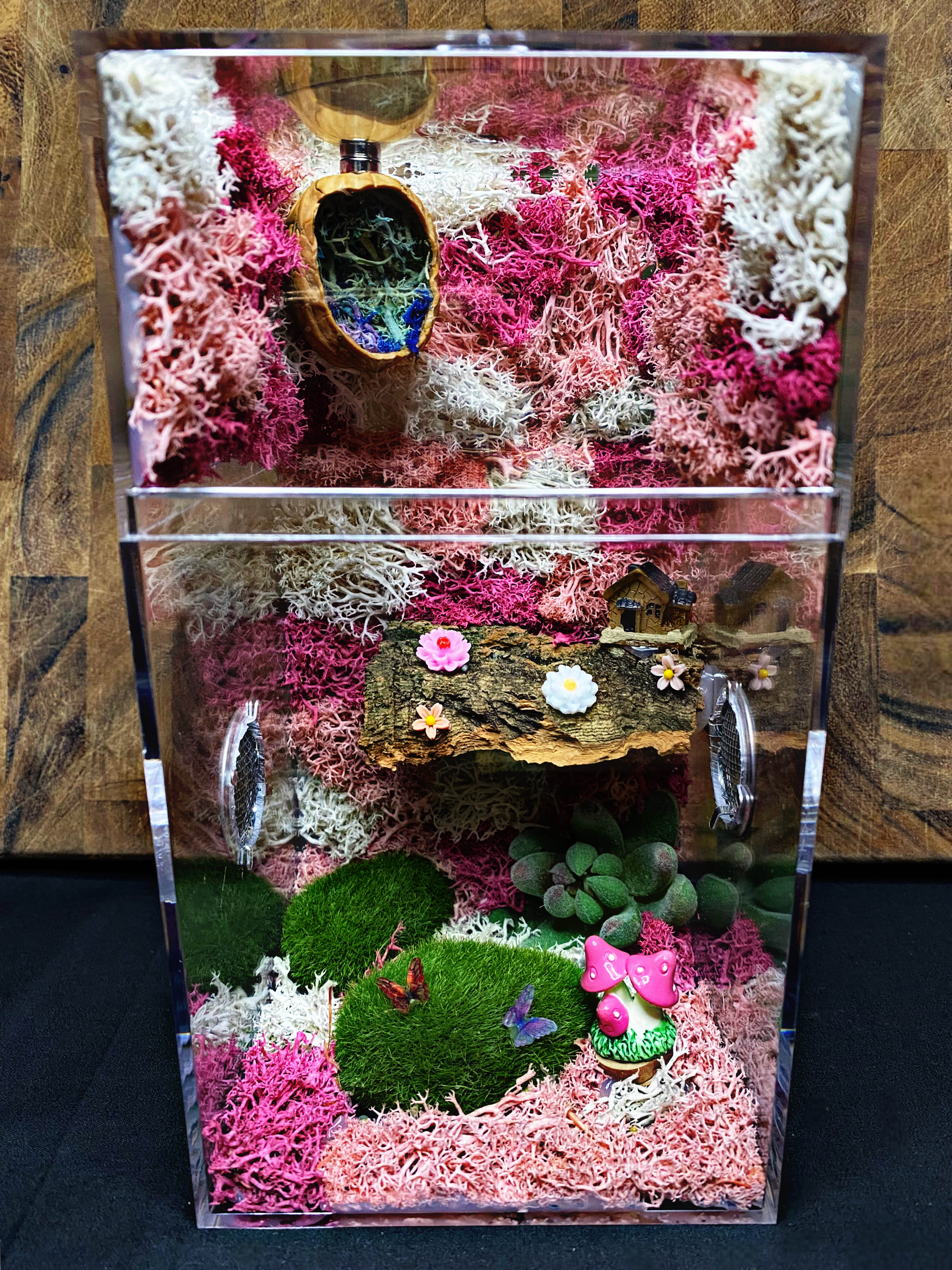 ~Fairy Lights~ Custom Jumping Spider Enclosure