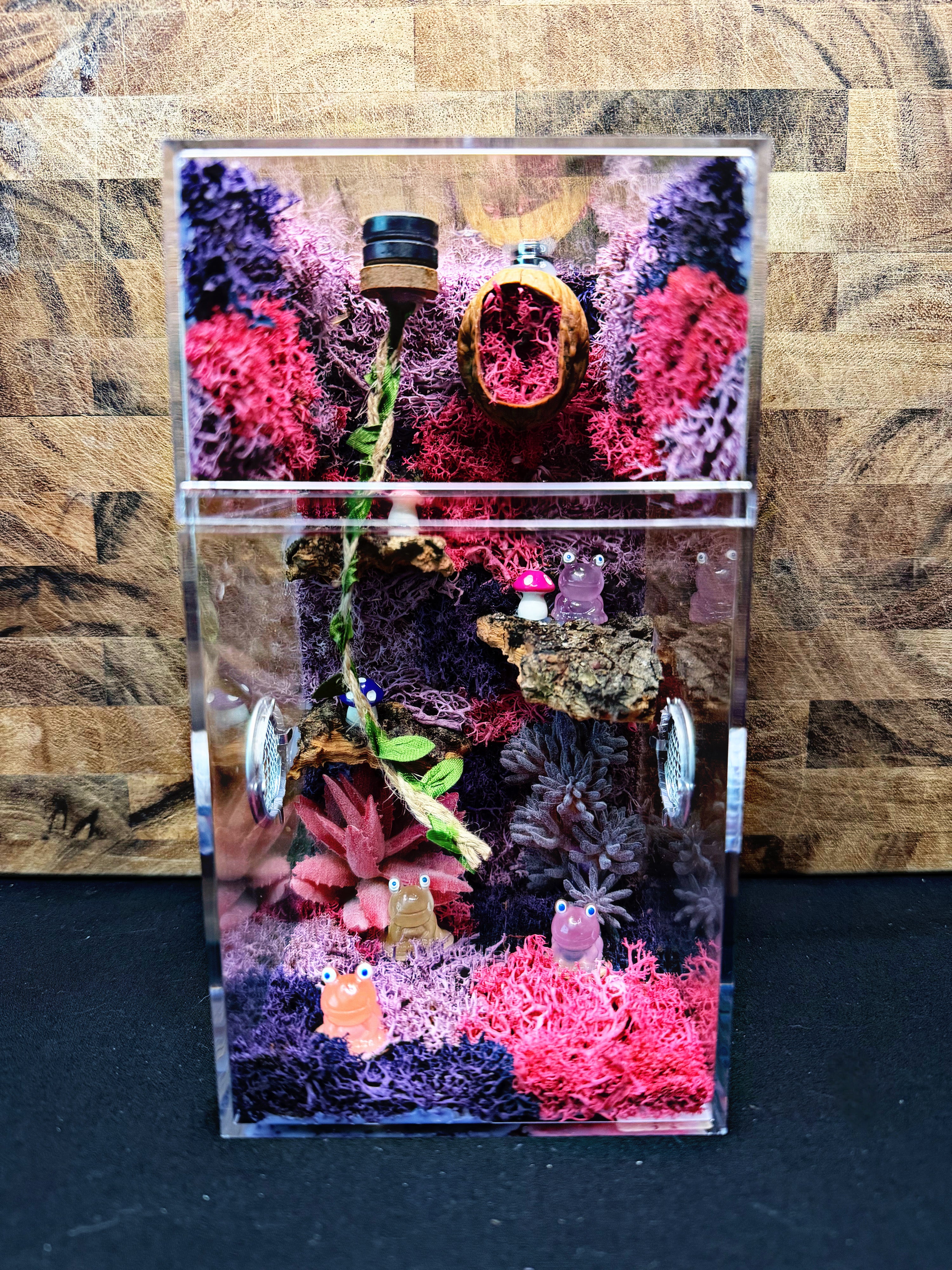 Custom Jumping Spider Enclosure