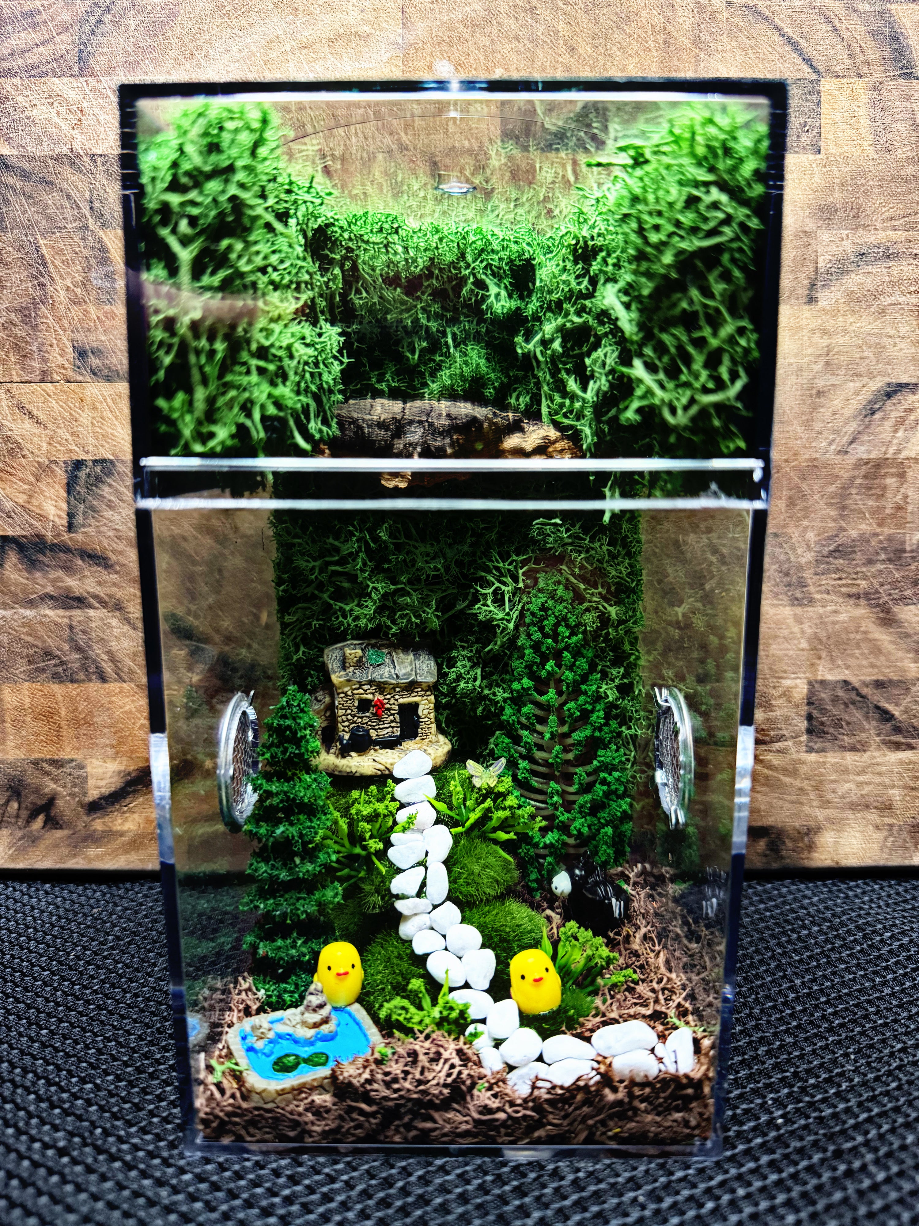 ~Fairy Lights~ Custom Jumping Spider Enclosure
