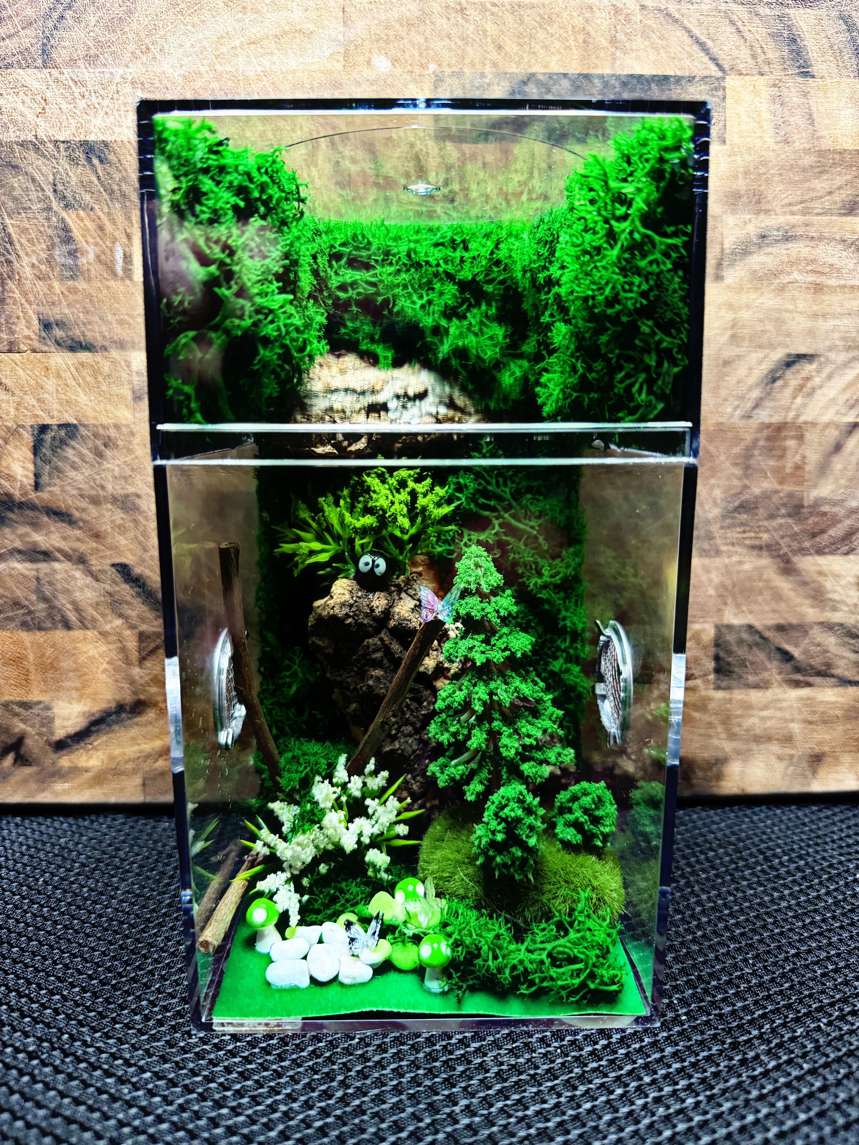 Custom Jumping Spider Enclosure