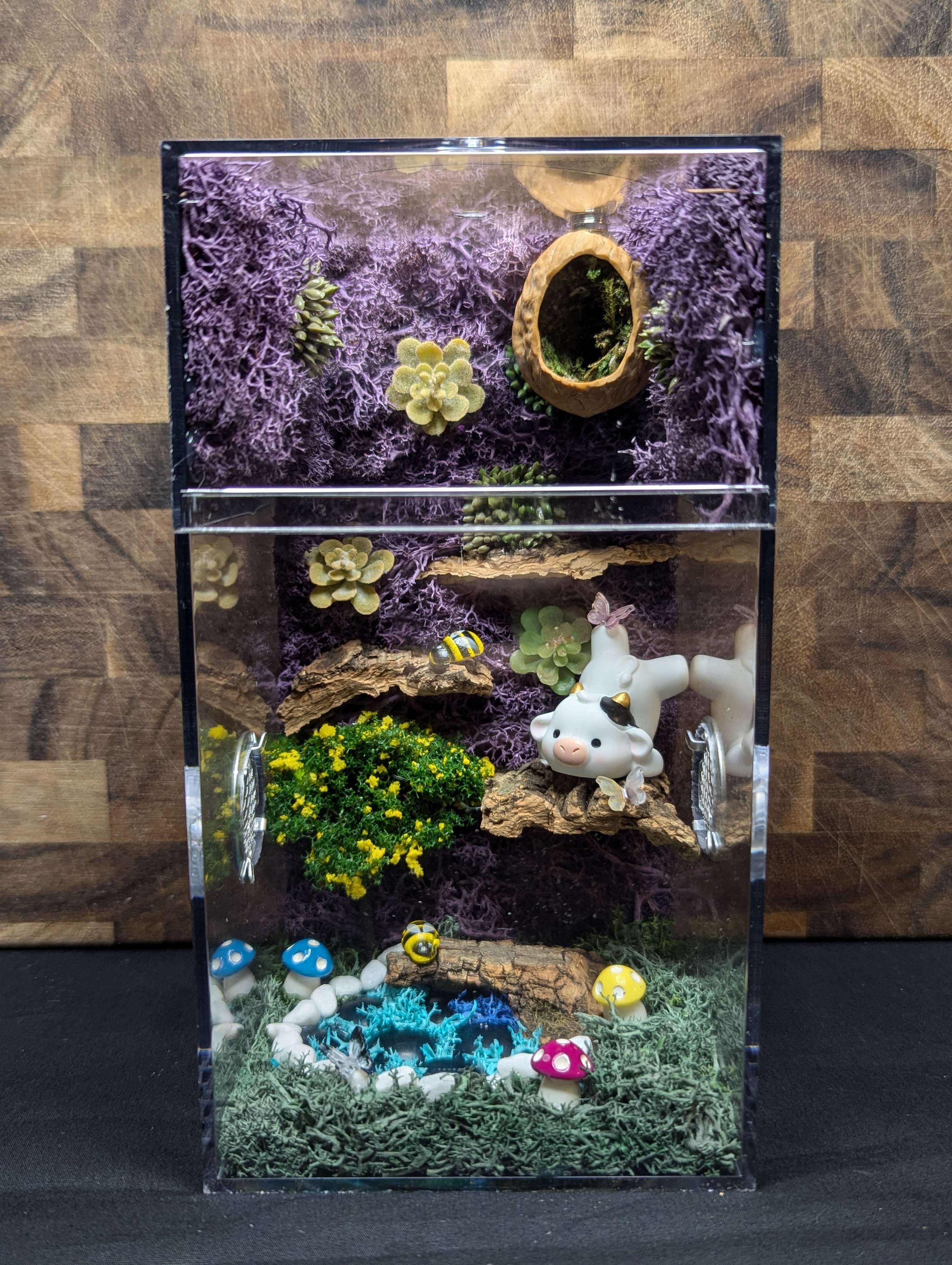 Custom Jumping Spider Enclosure