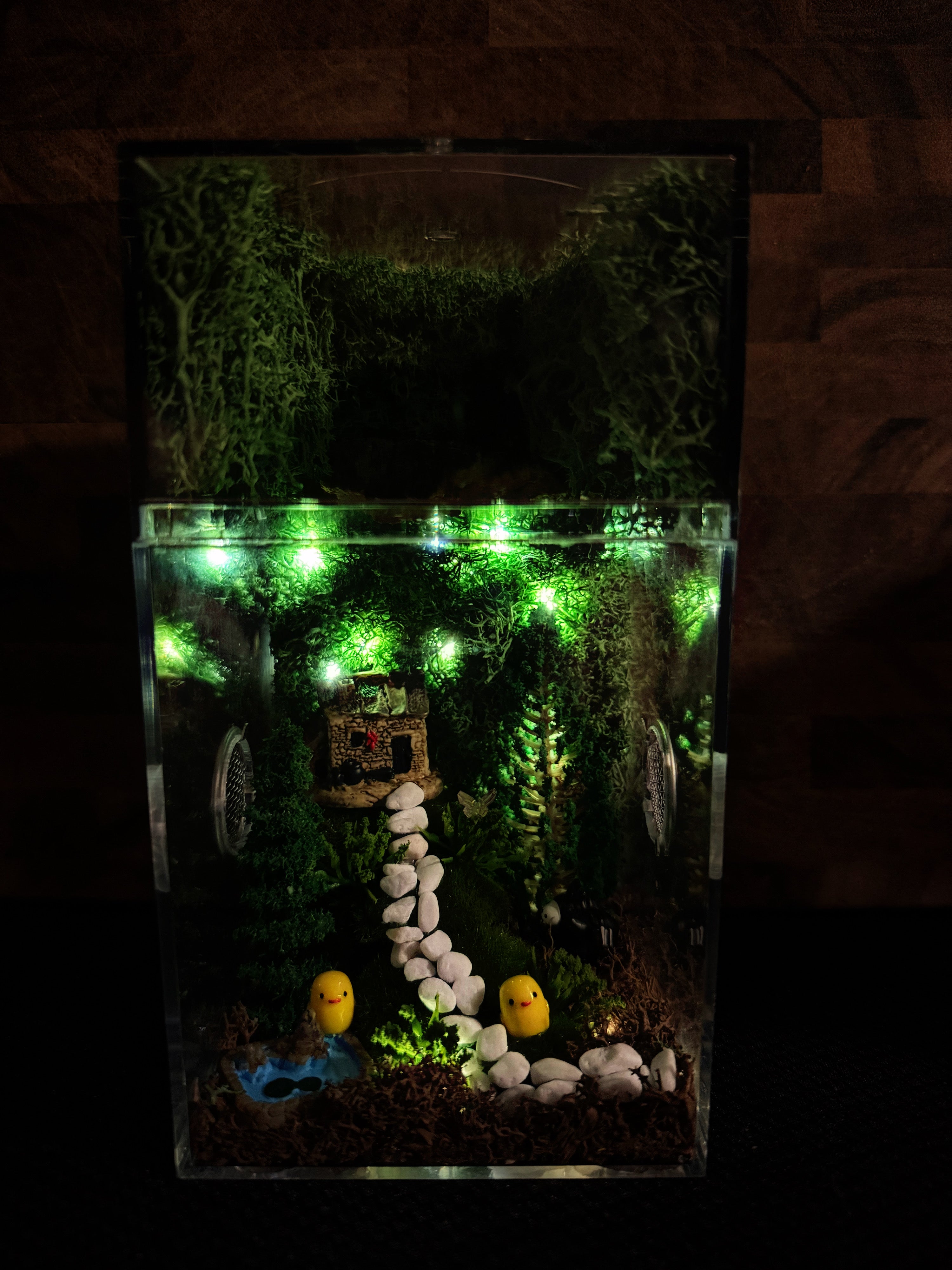 ~Fairy Lights~ Custom Jumping Spider Enclosure
