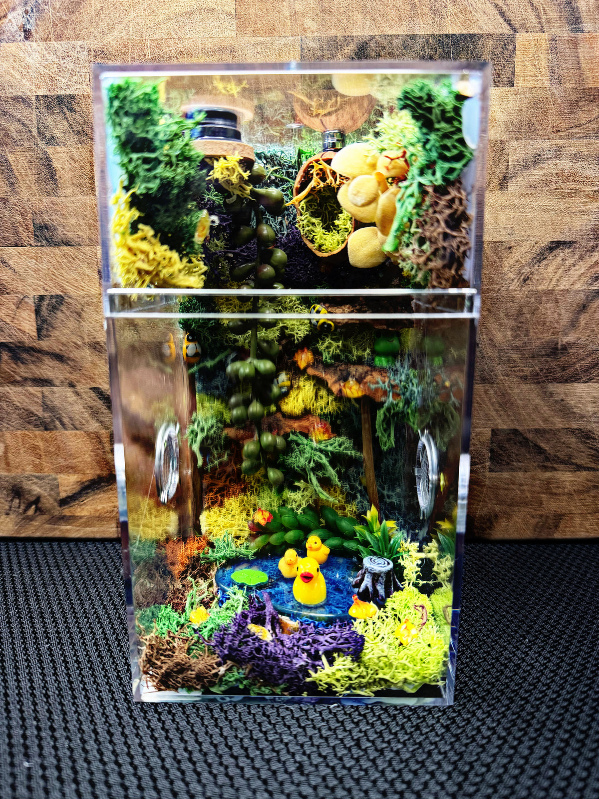 Custom Jumping Spider Enclosure