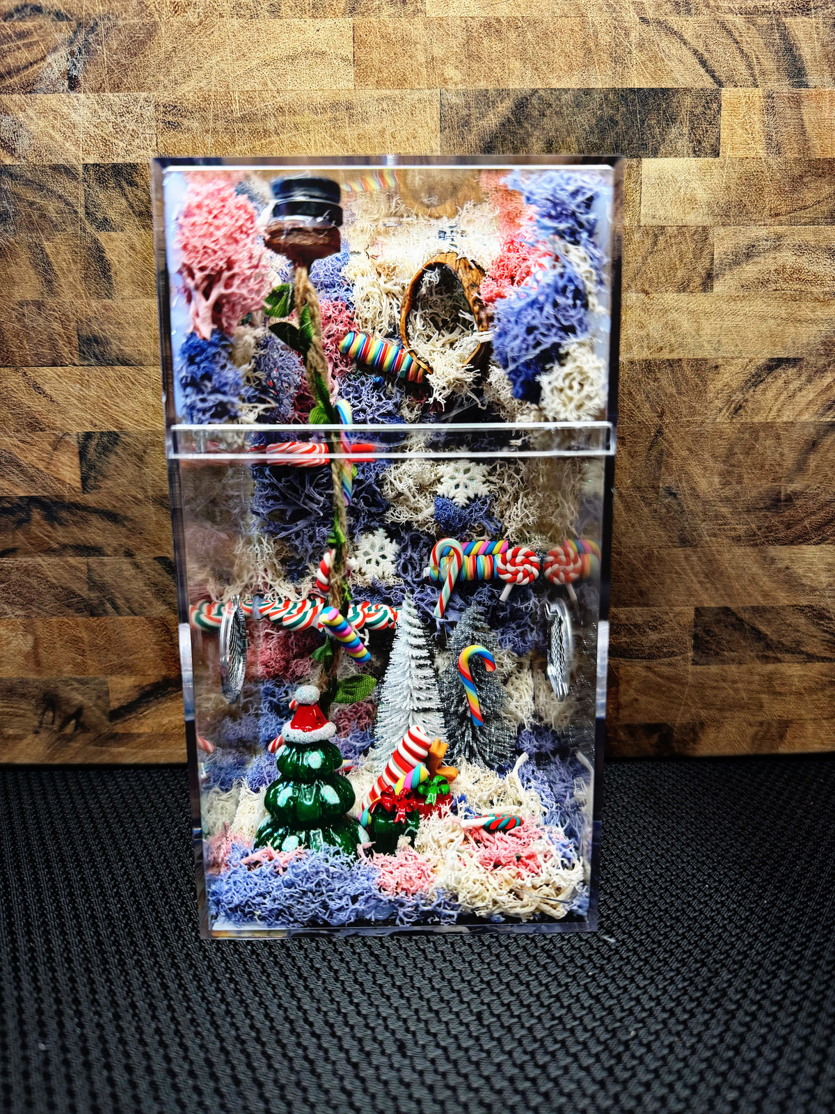 Custom Jumping Spider Enclosure
