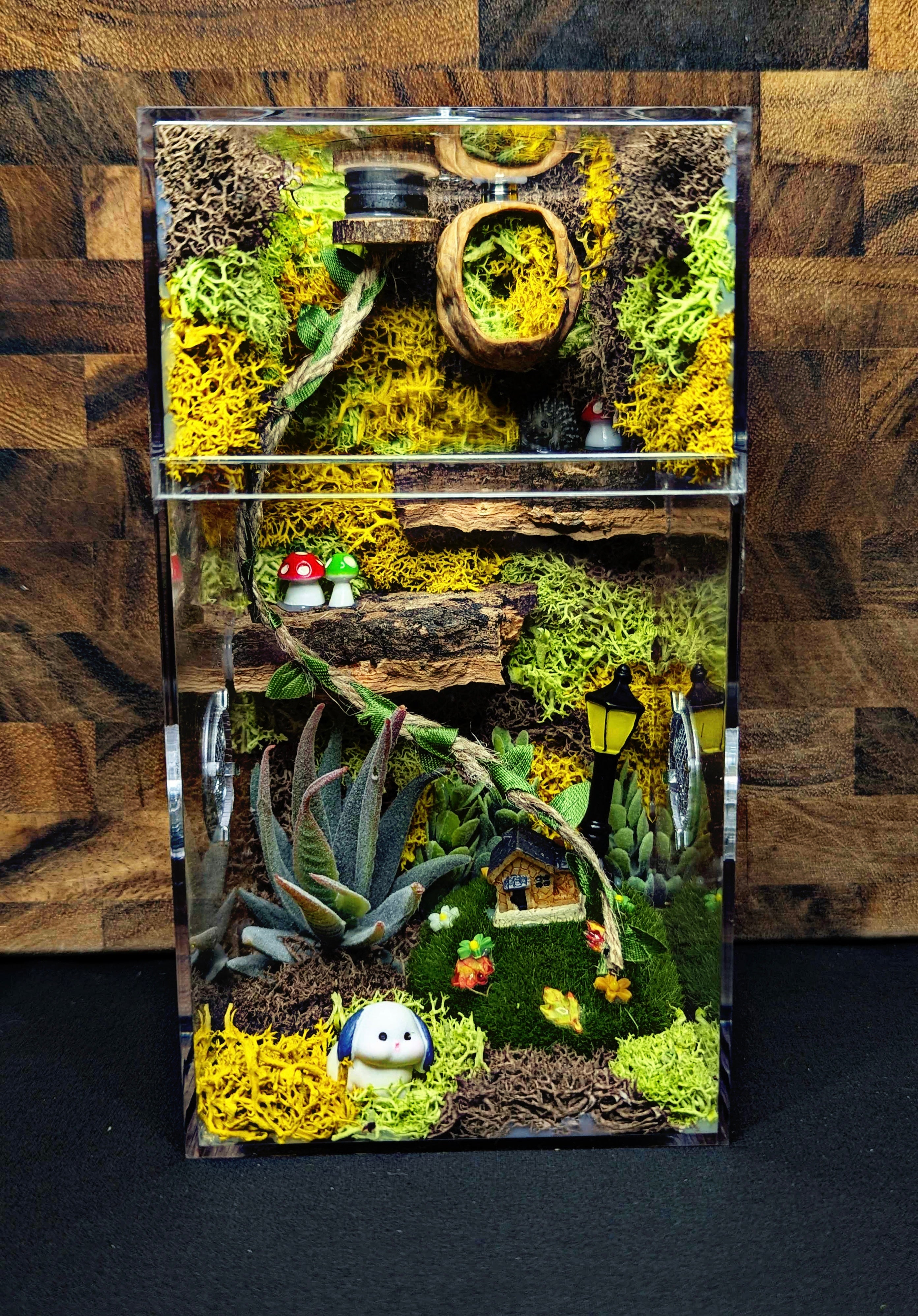 Custom Jumping Spider Enclosure