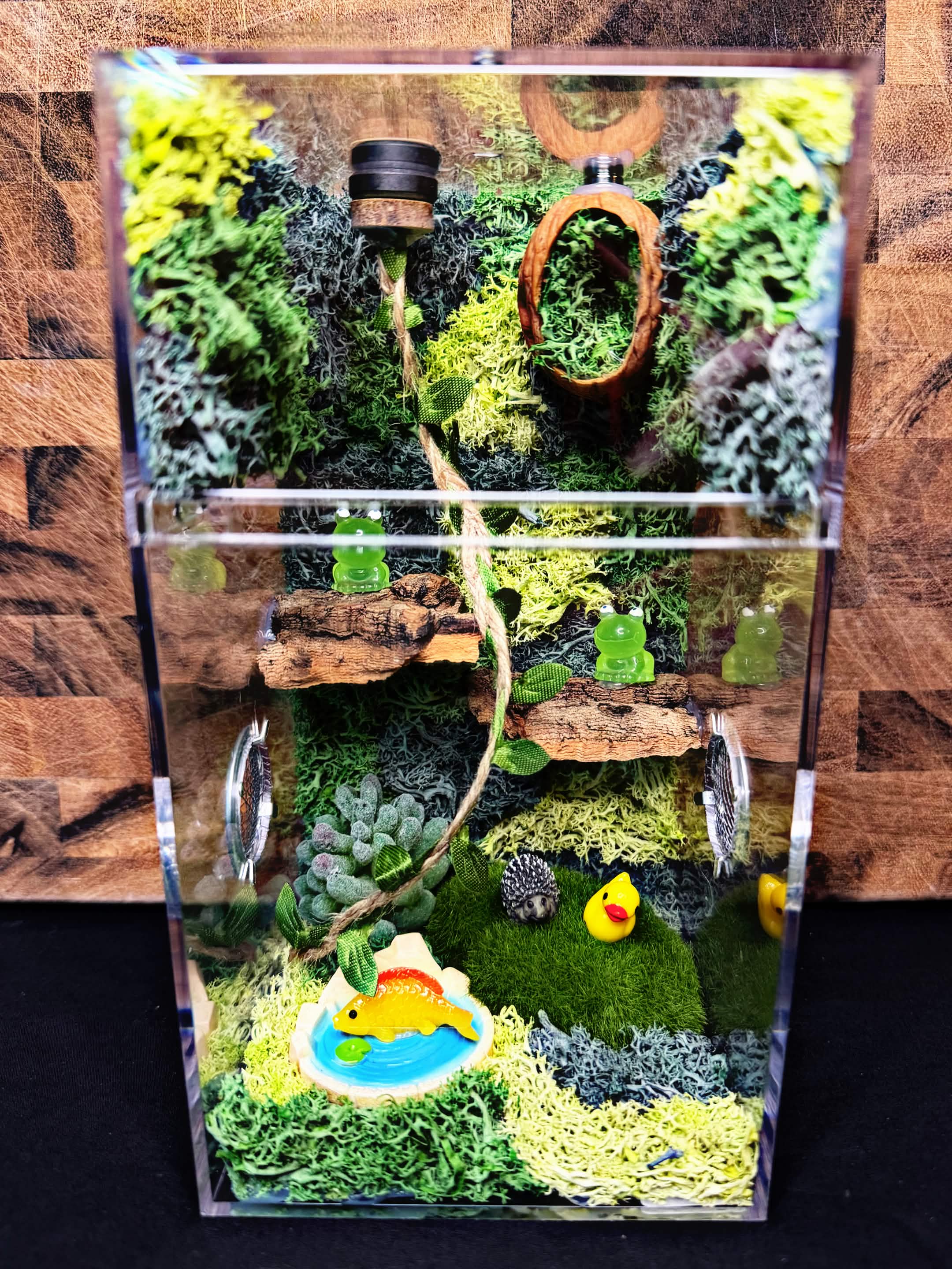 Custom Jumping Spider Enclosure
