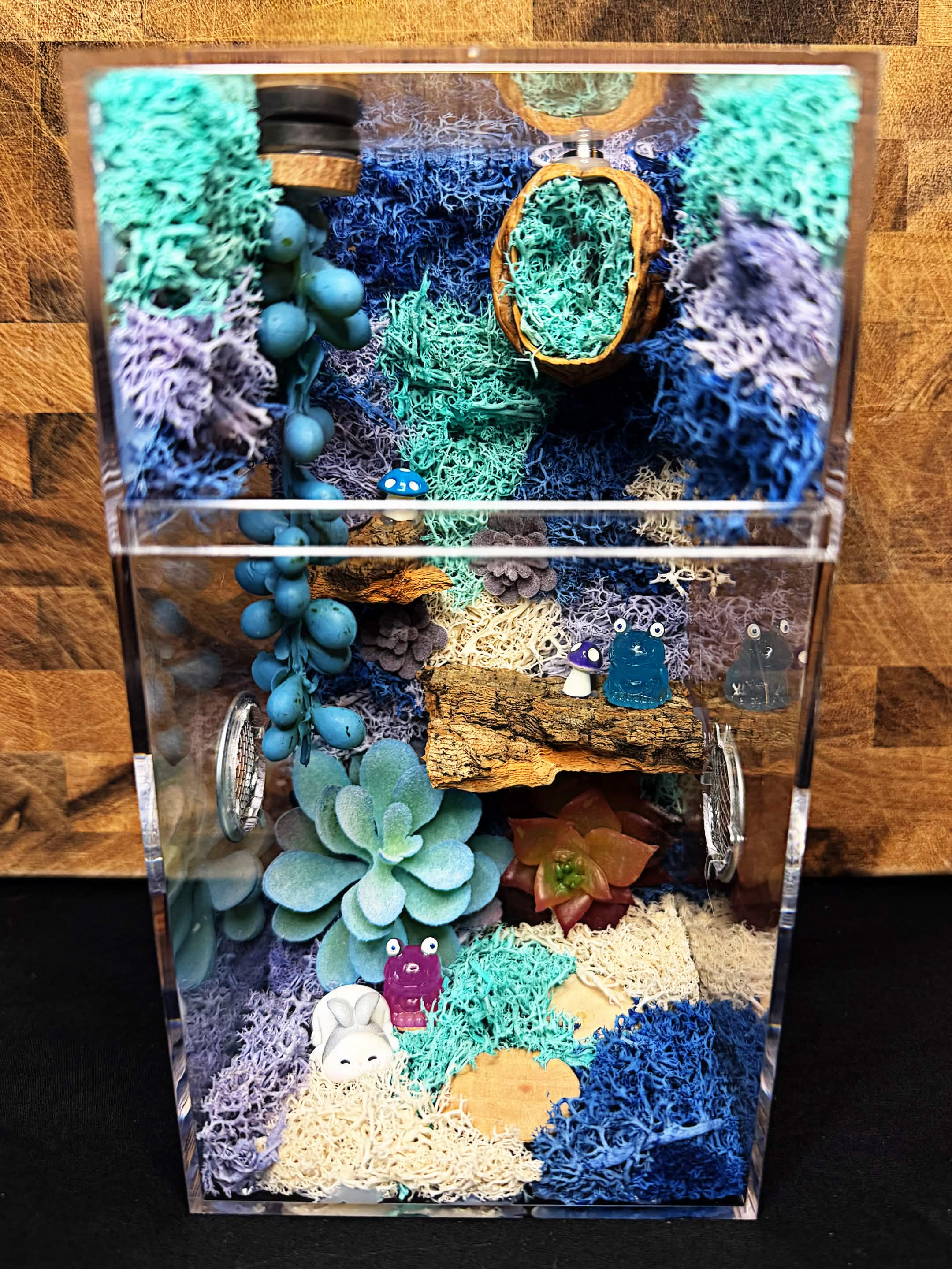Custom Jumping Spider Enclosure