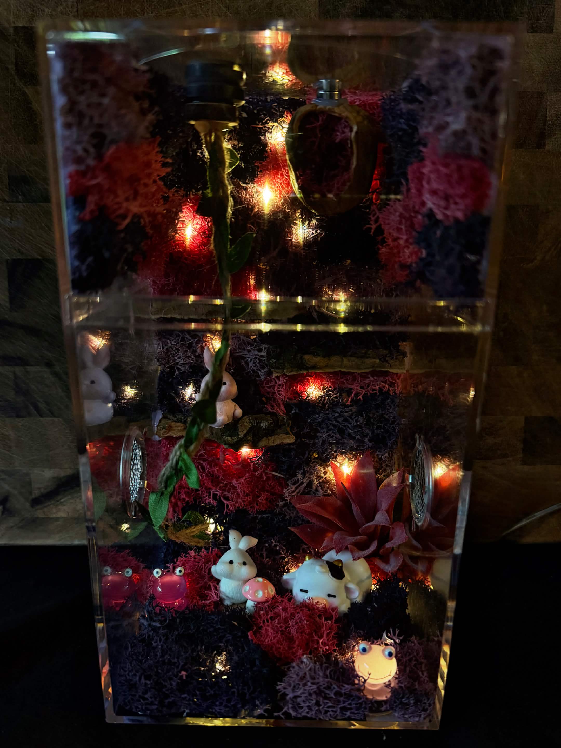~Fairy Lights~ Custom Jumping Spider Enclosure
