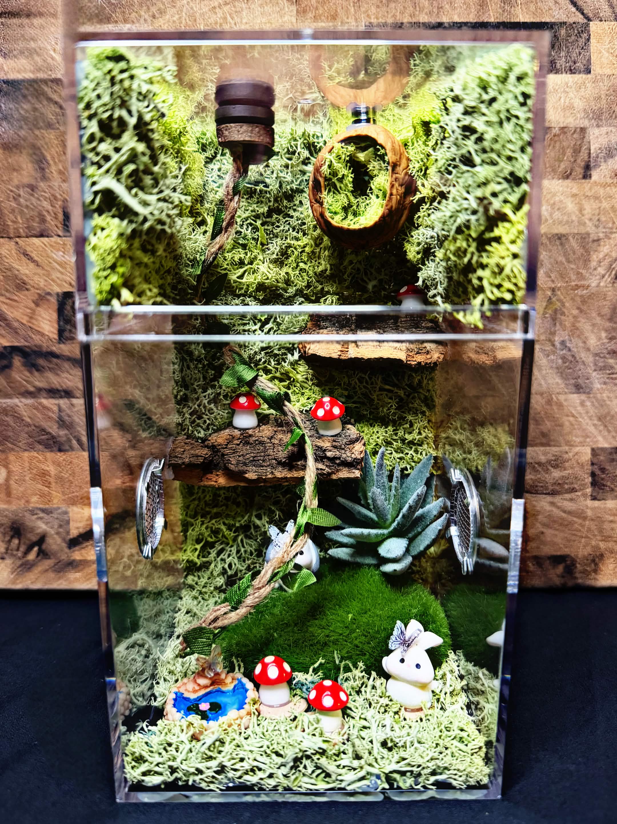 Custom Jumping Spider Enclosure