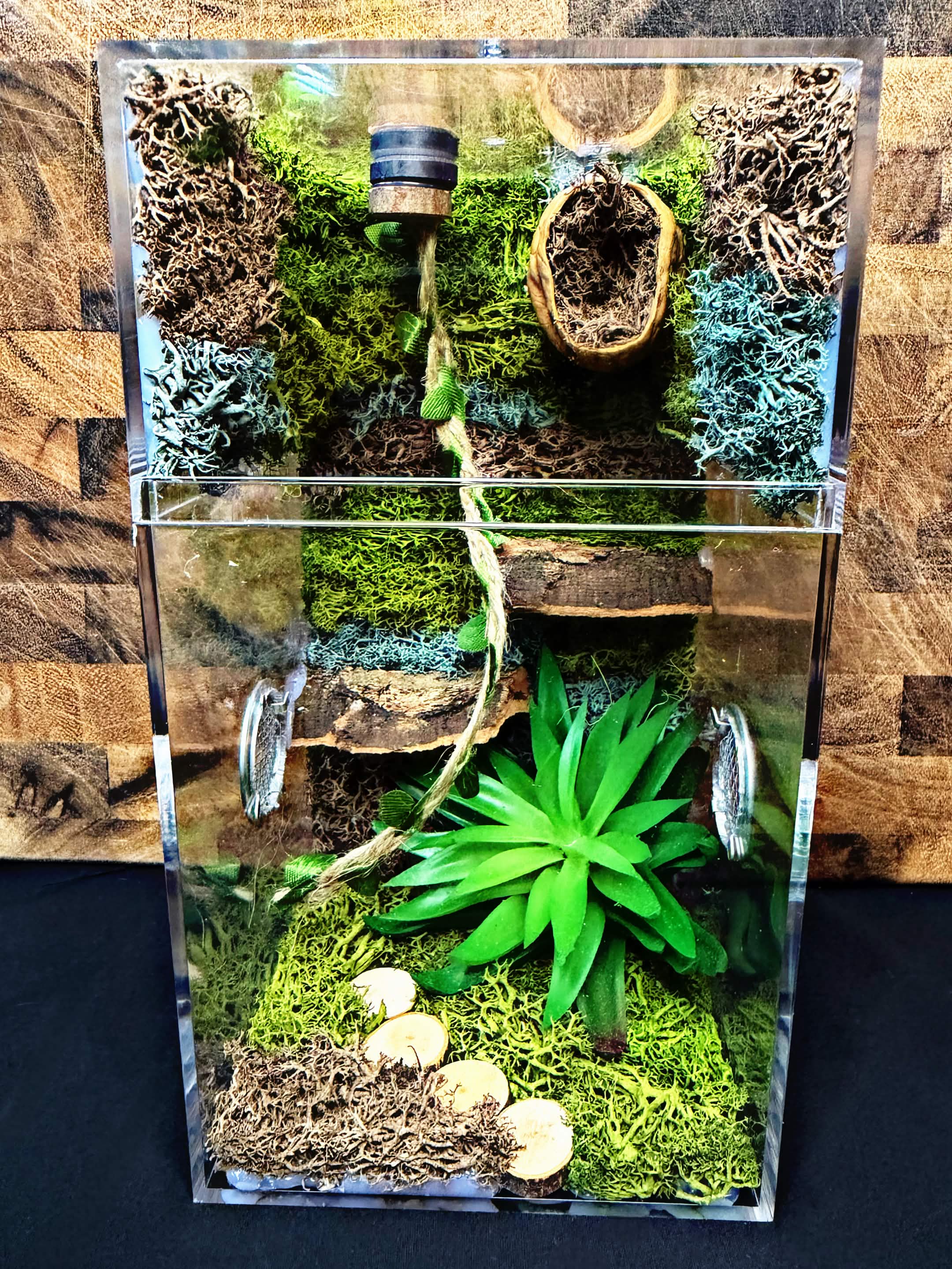 Custom Jumping Spider Enclosure