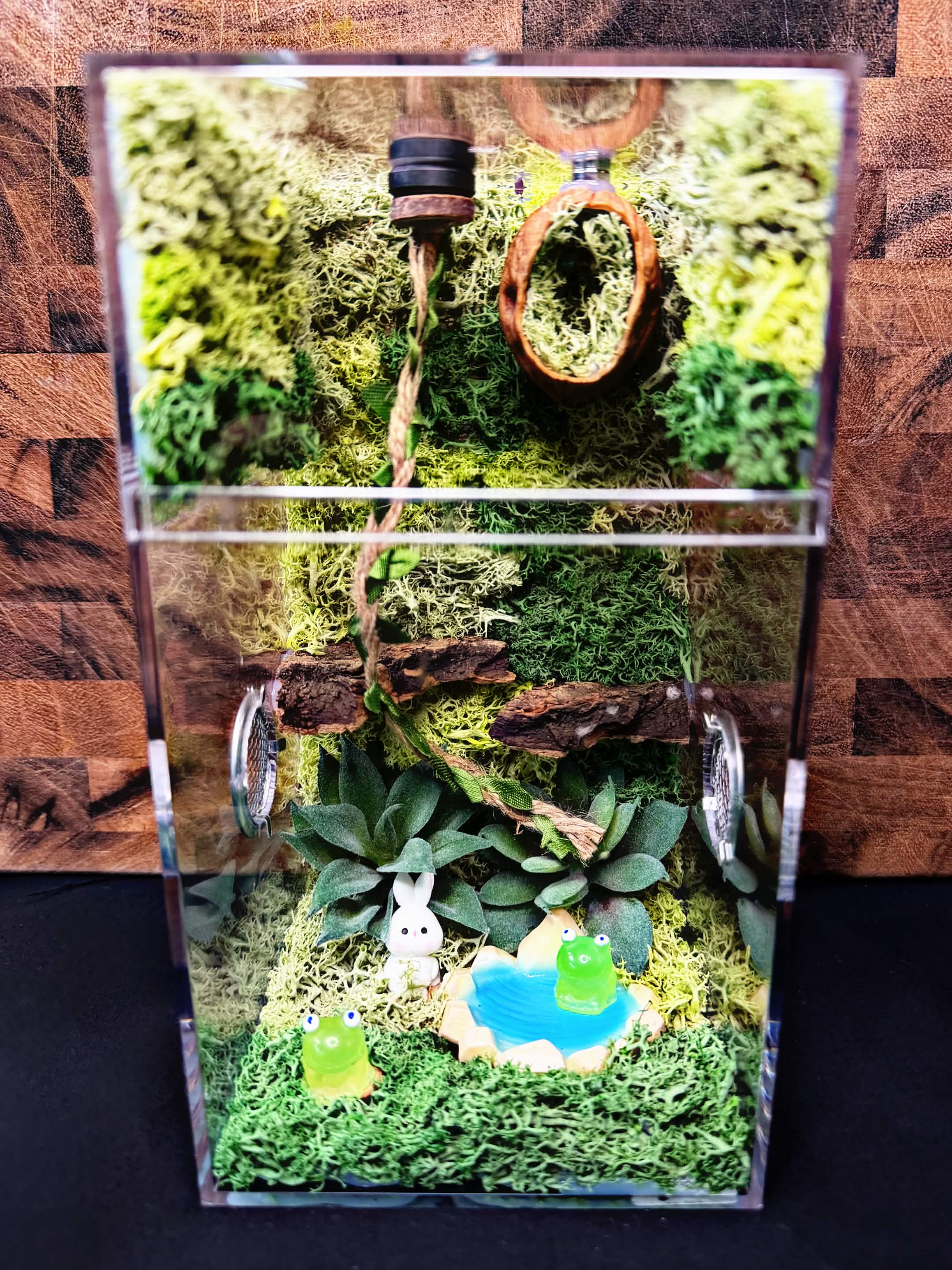 Custom Jumping Spider Enclosure
