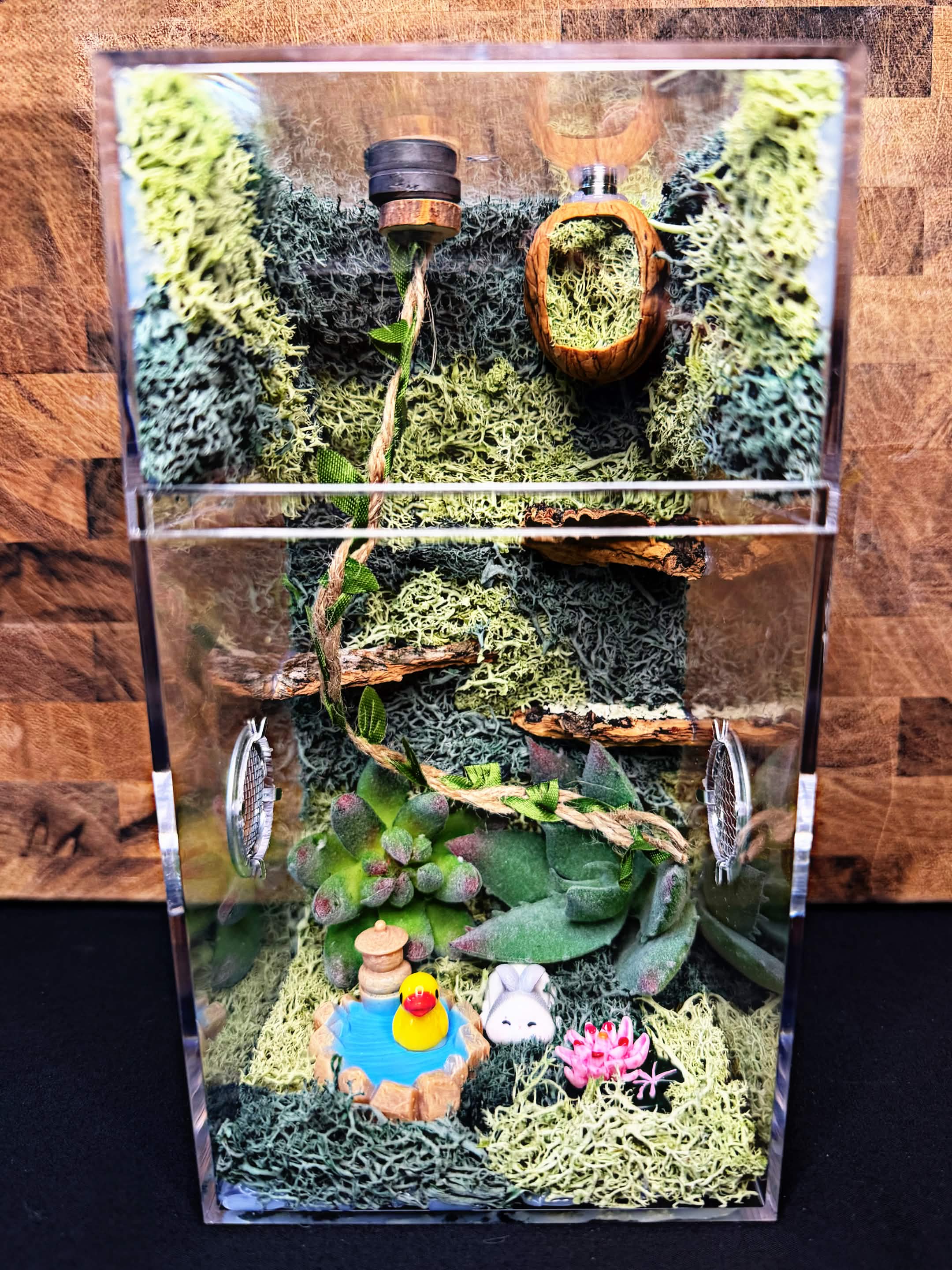 Custom Jumping Spider Enclosure