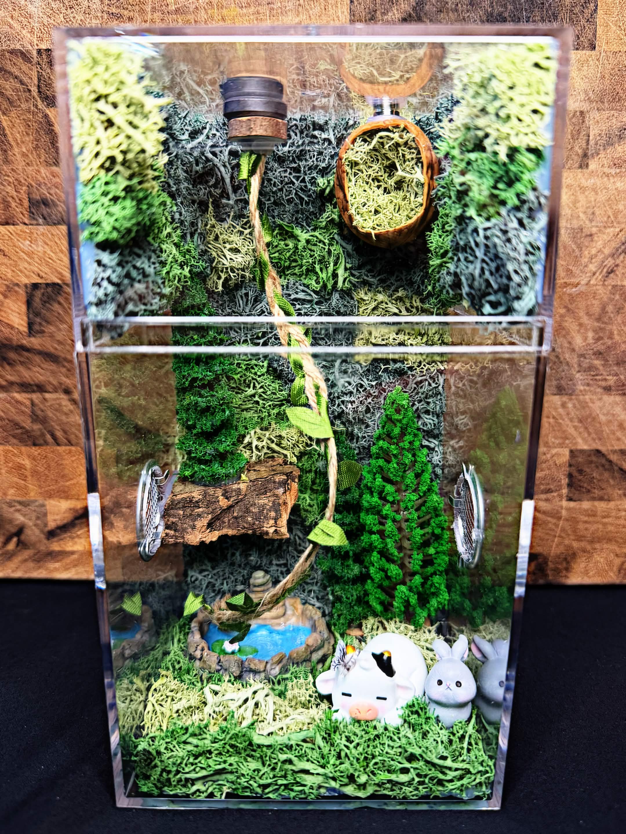 Custom Jumping Spider Enclosure