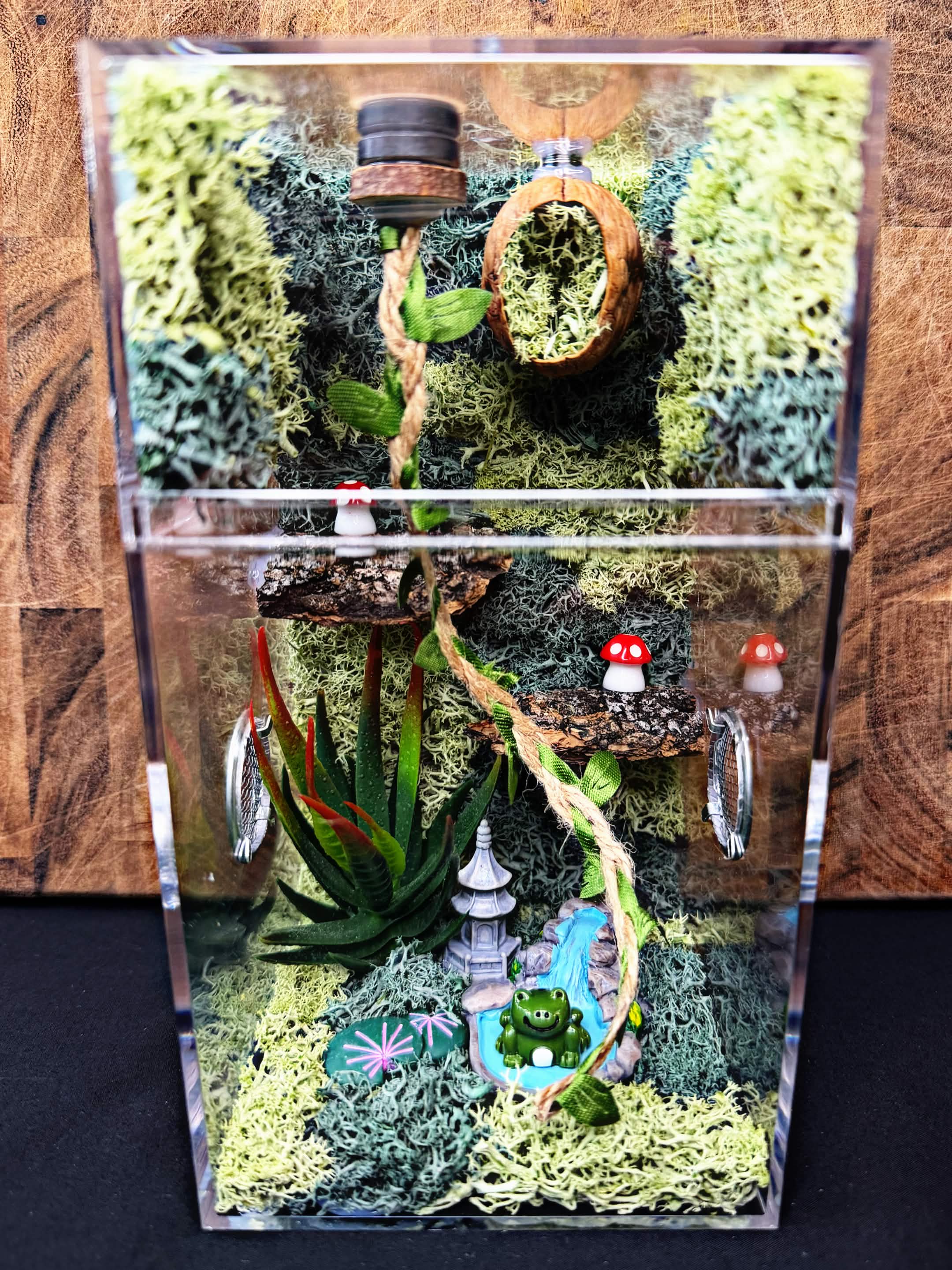 Custom Jumping Spider Enclosure