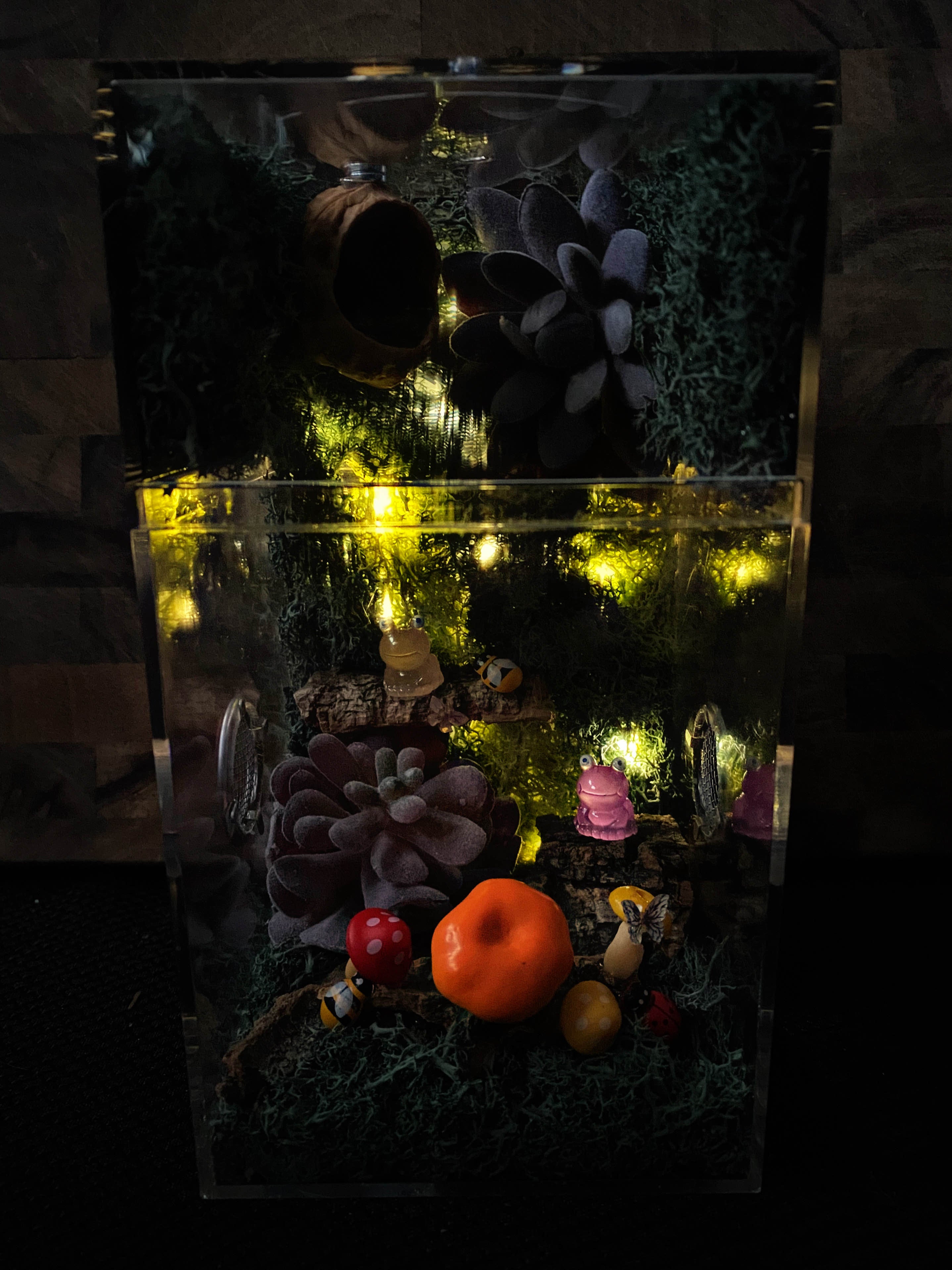 ~Fairy Lights~ Custom Jumping Spider Enclosure