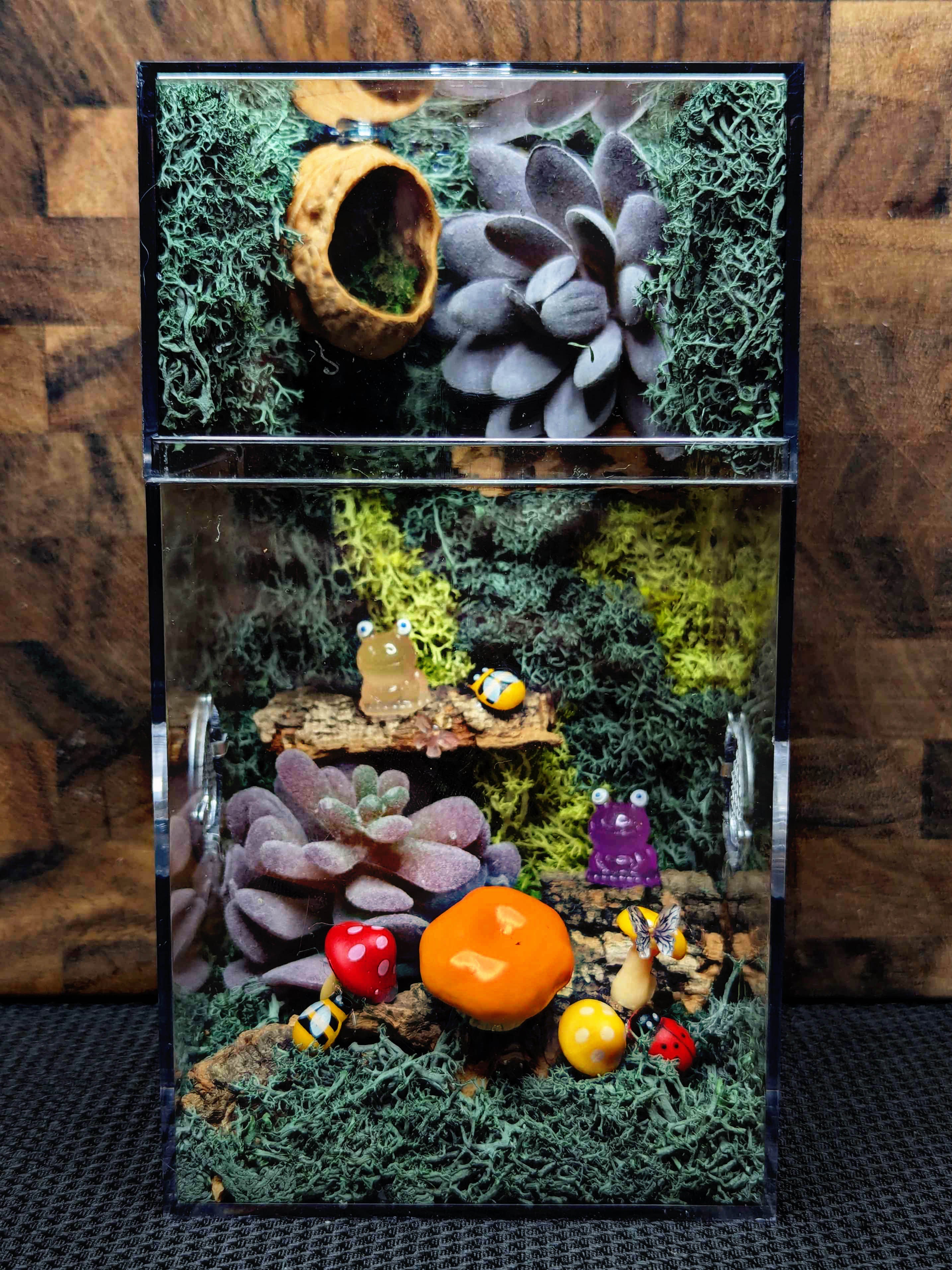 ~Fairy Lights~ Custom Jumping Spider Enclosure