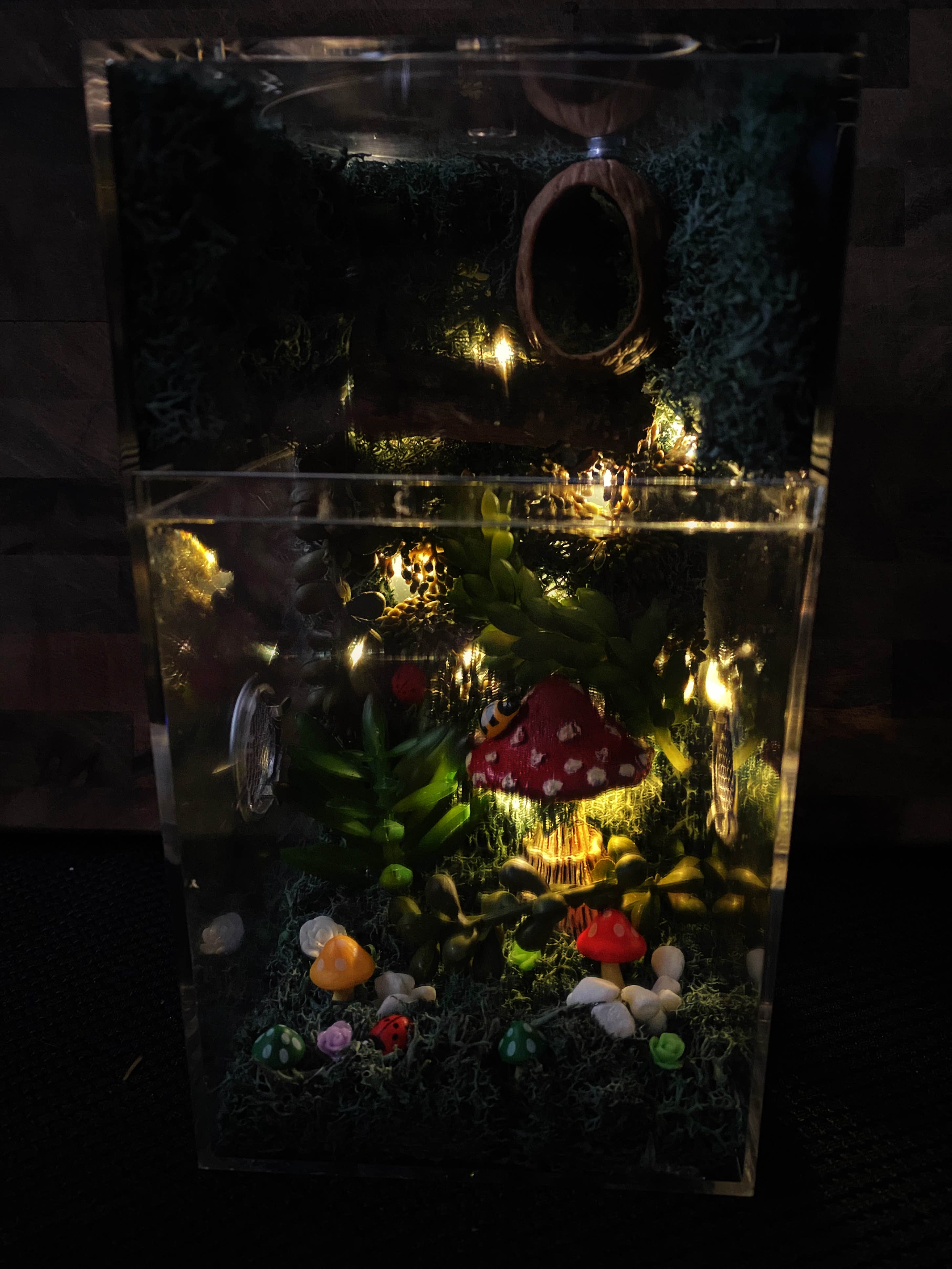~Fairy Lights~ Custom Jumping Spider Enclosure
