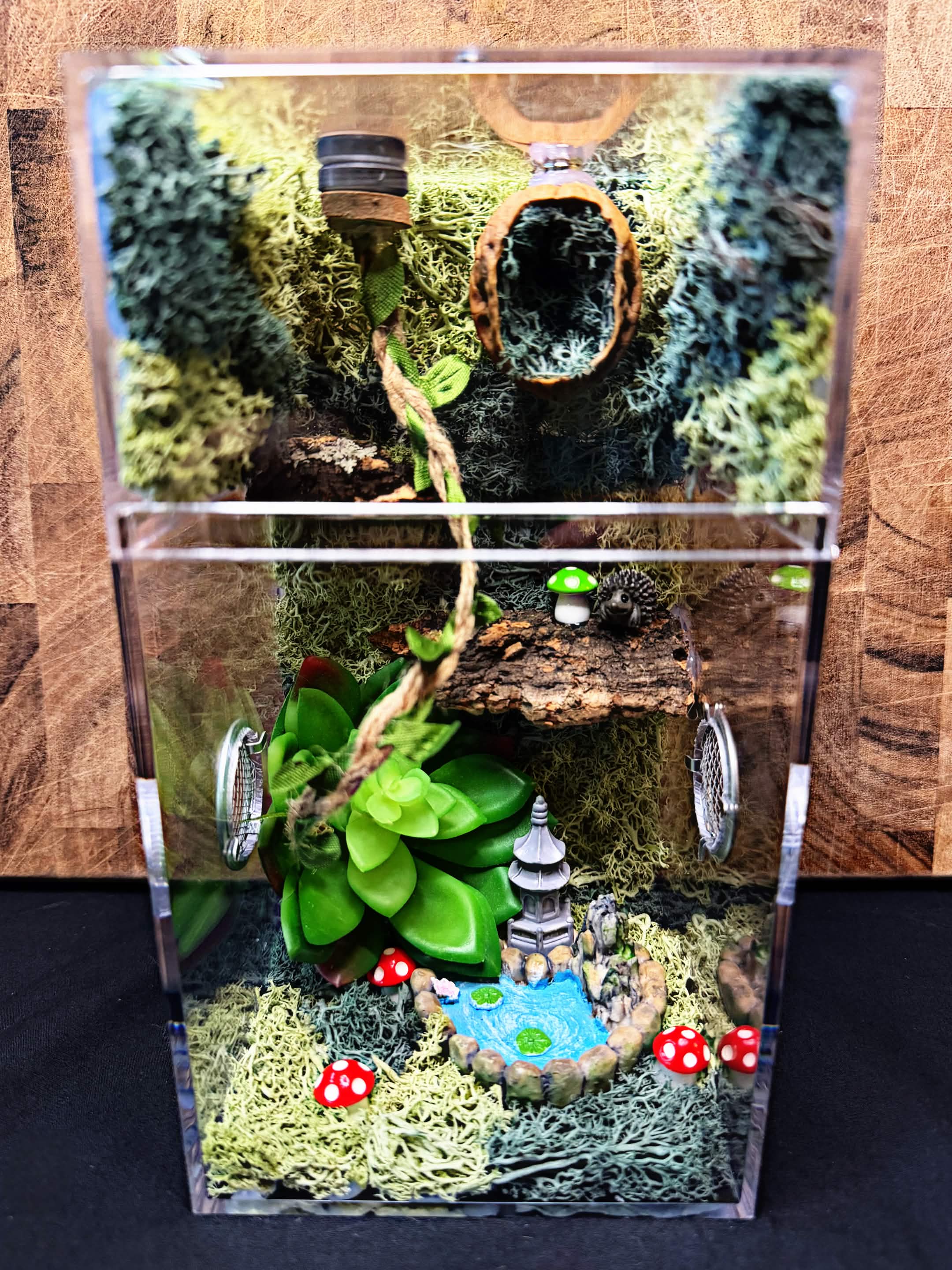Custom Jumping Spider Enclosure