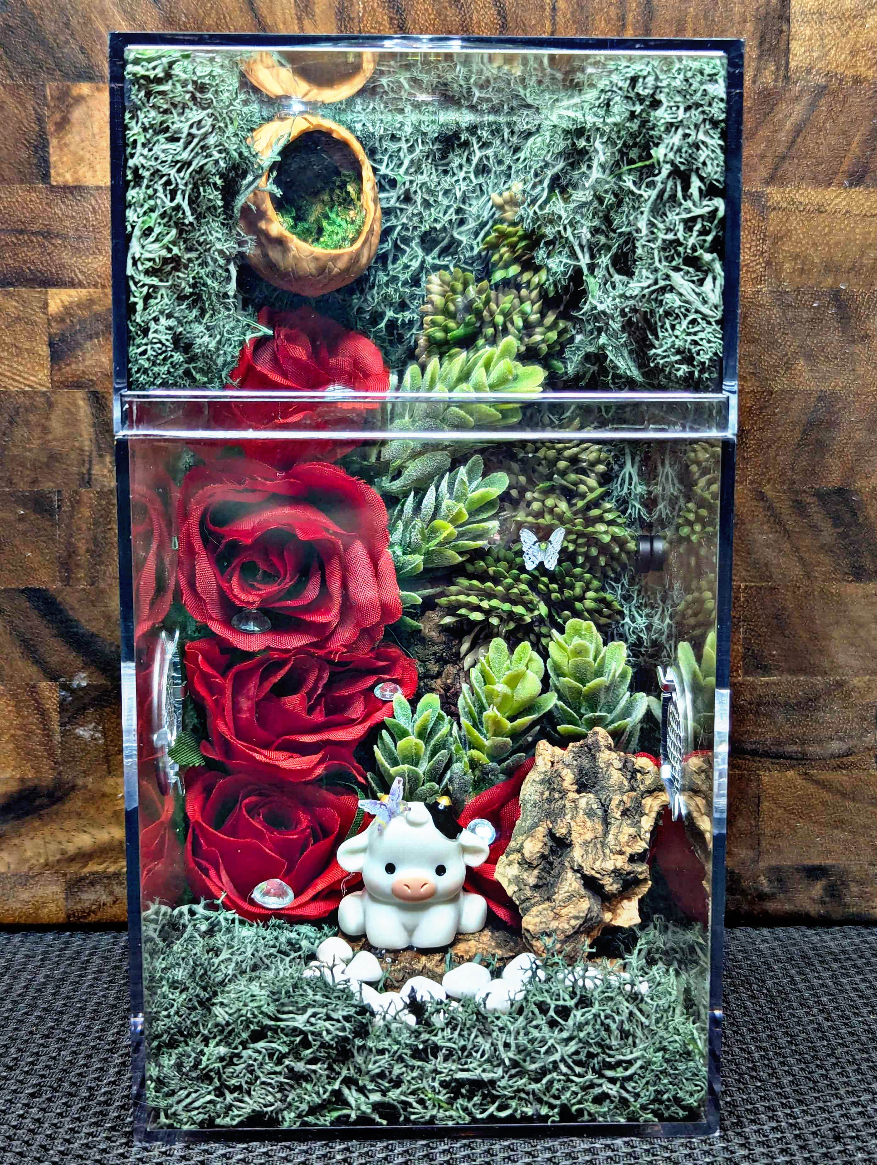 Custom Jumping Spider Enclosure