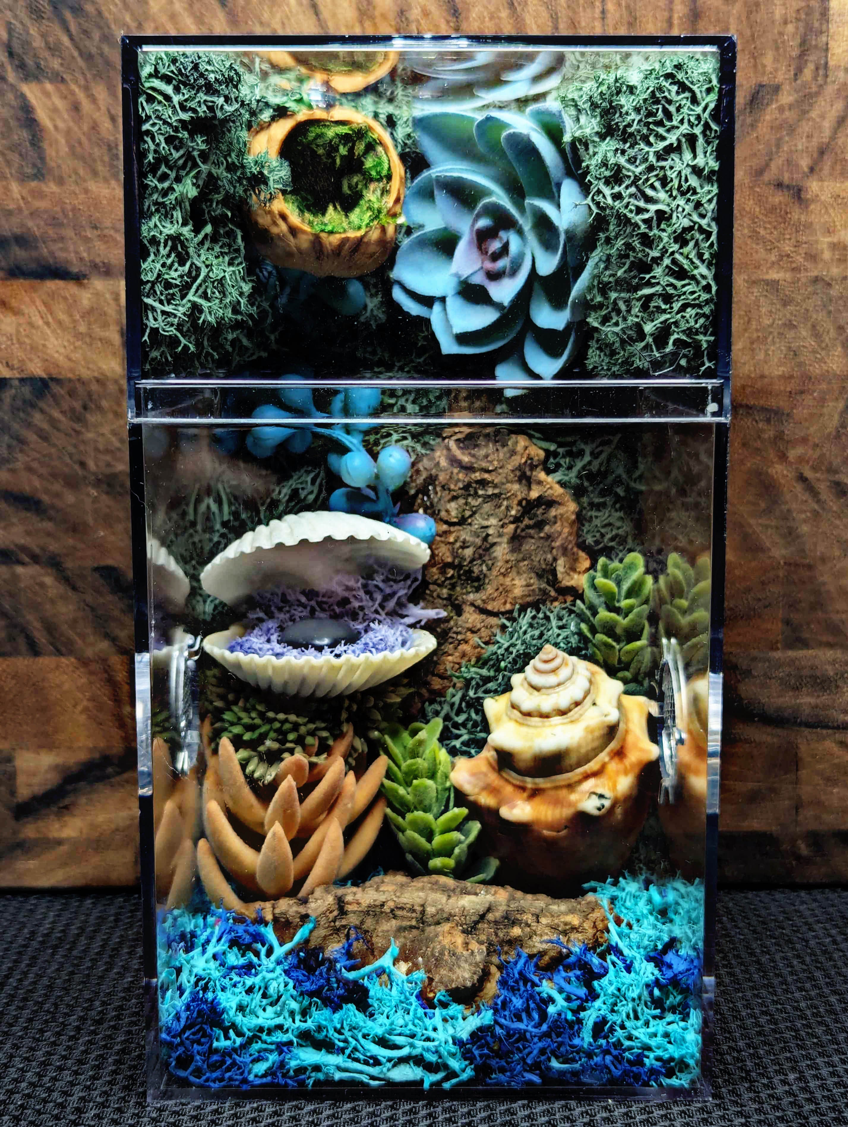 Custom Jumping Spider Enclosure