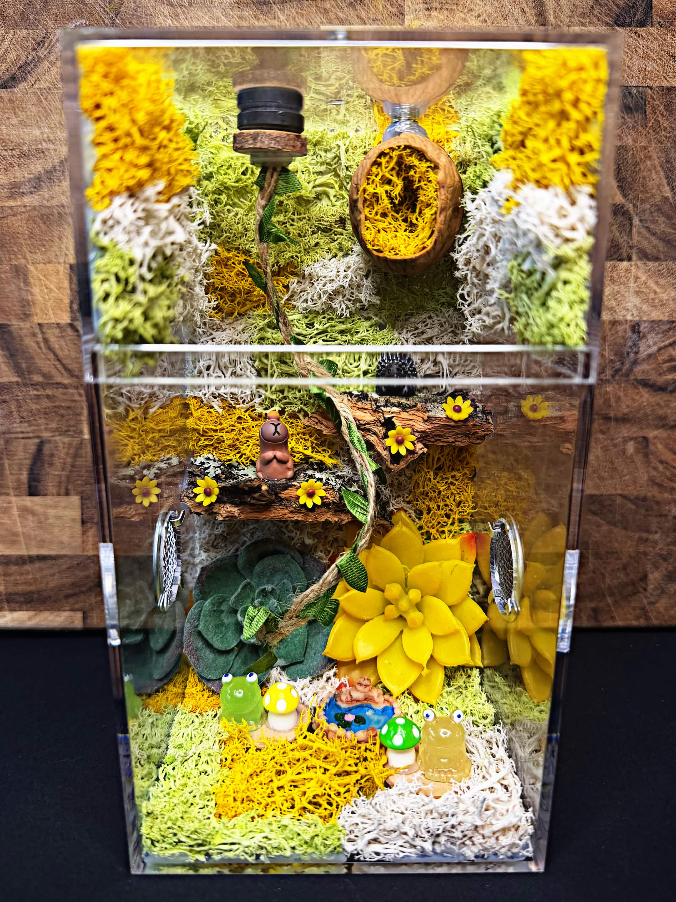 Custom Jumping Spider Enclosure