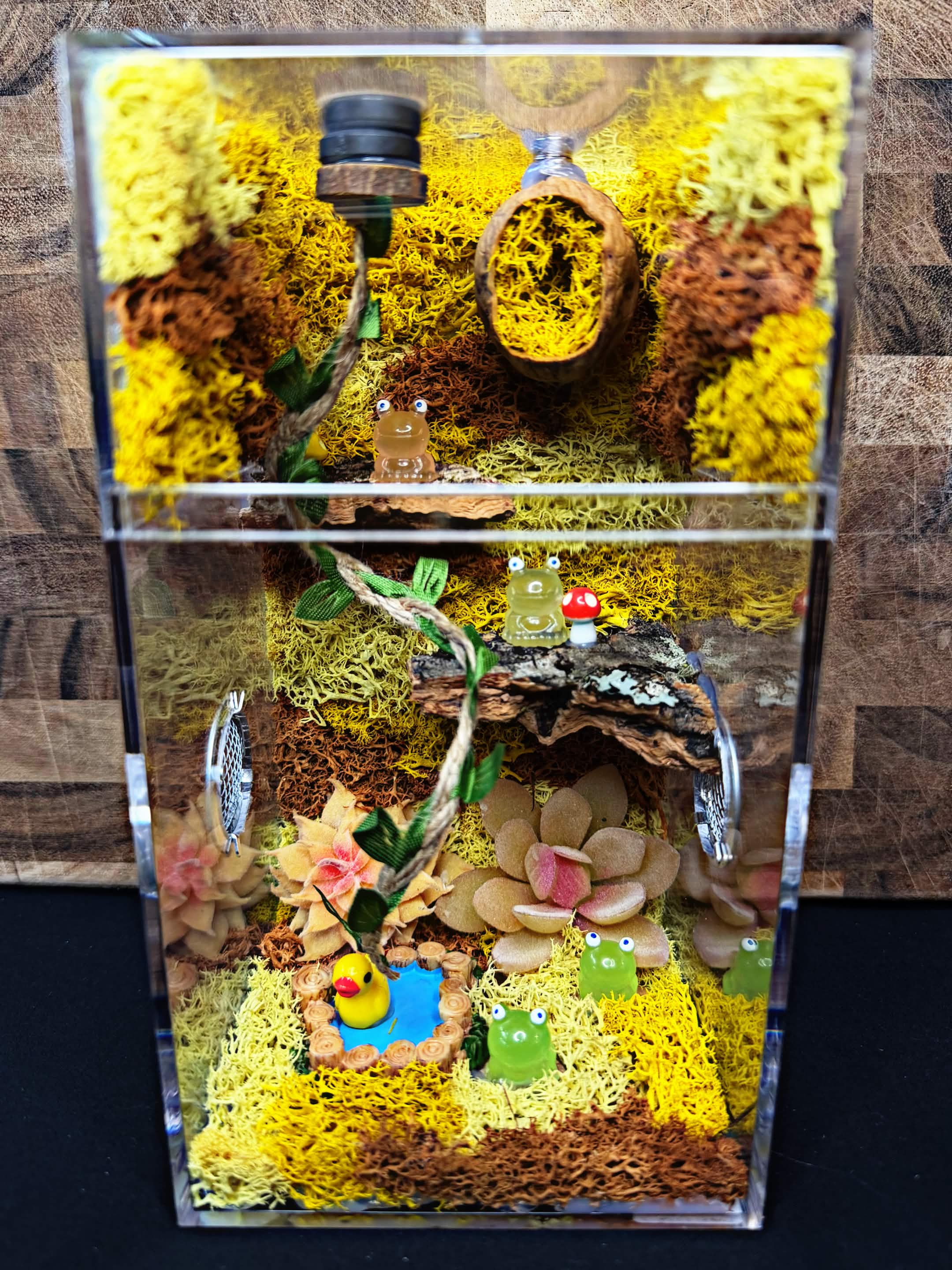 Custom Jumping Spider Enclosure