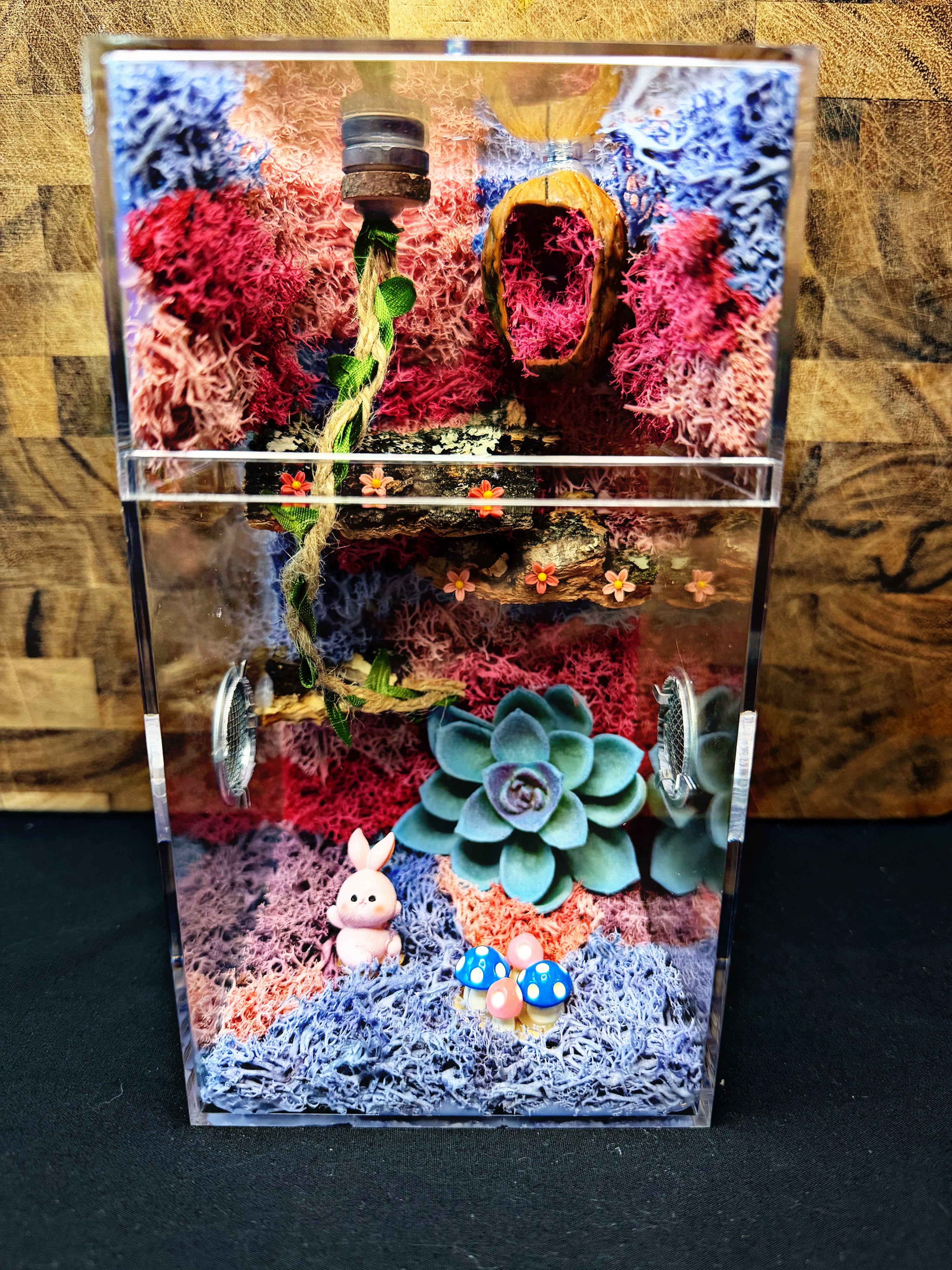 Custom Jumping Spider Enclosure