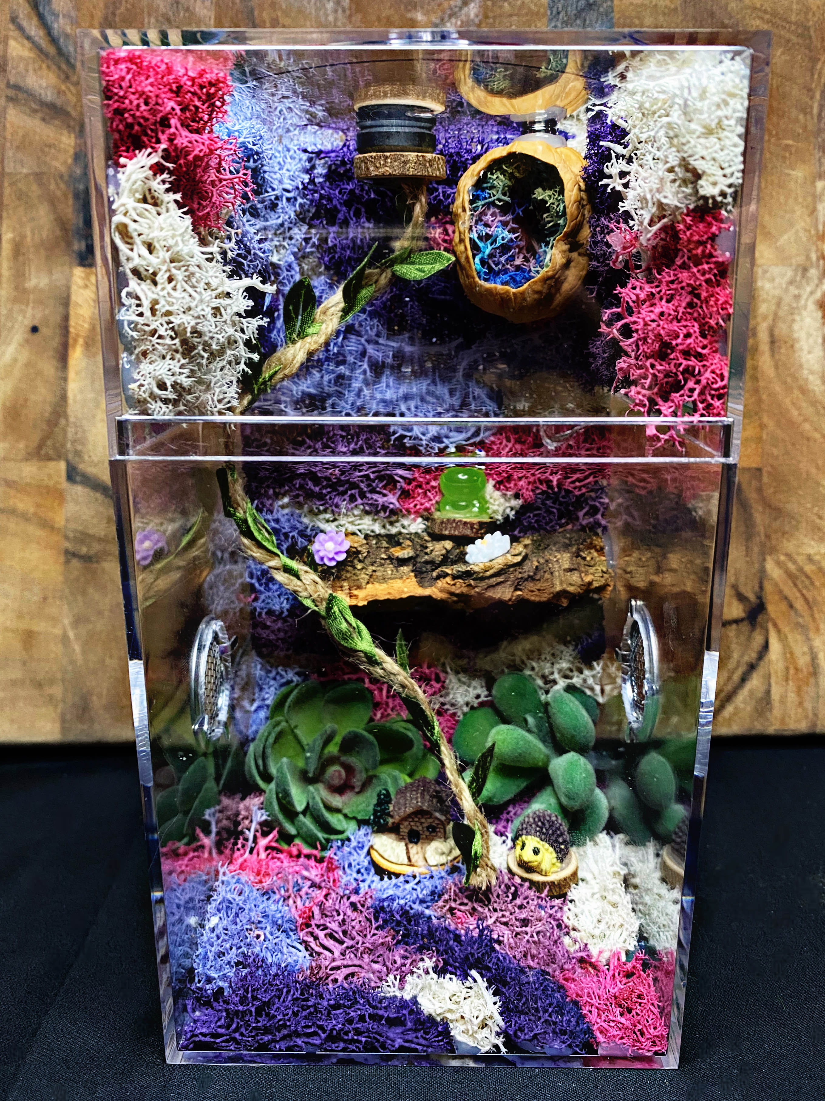 ~Fairy Lights~ Custom Jumping Spider Enclosure