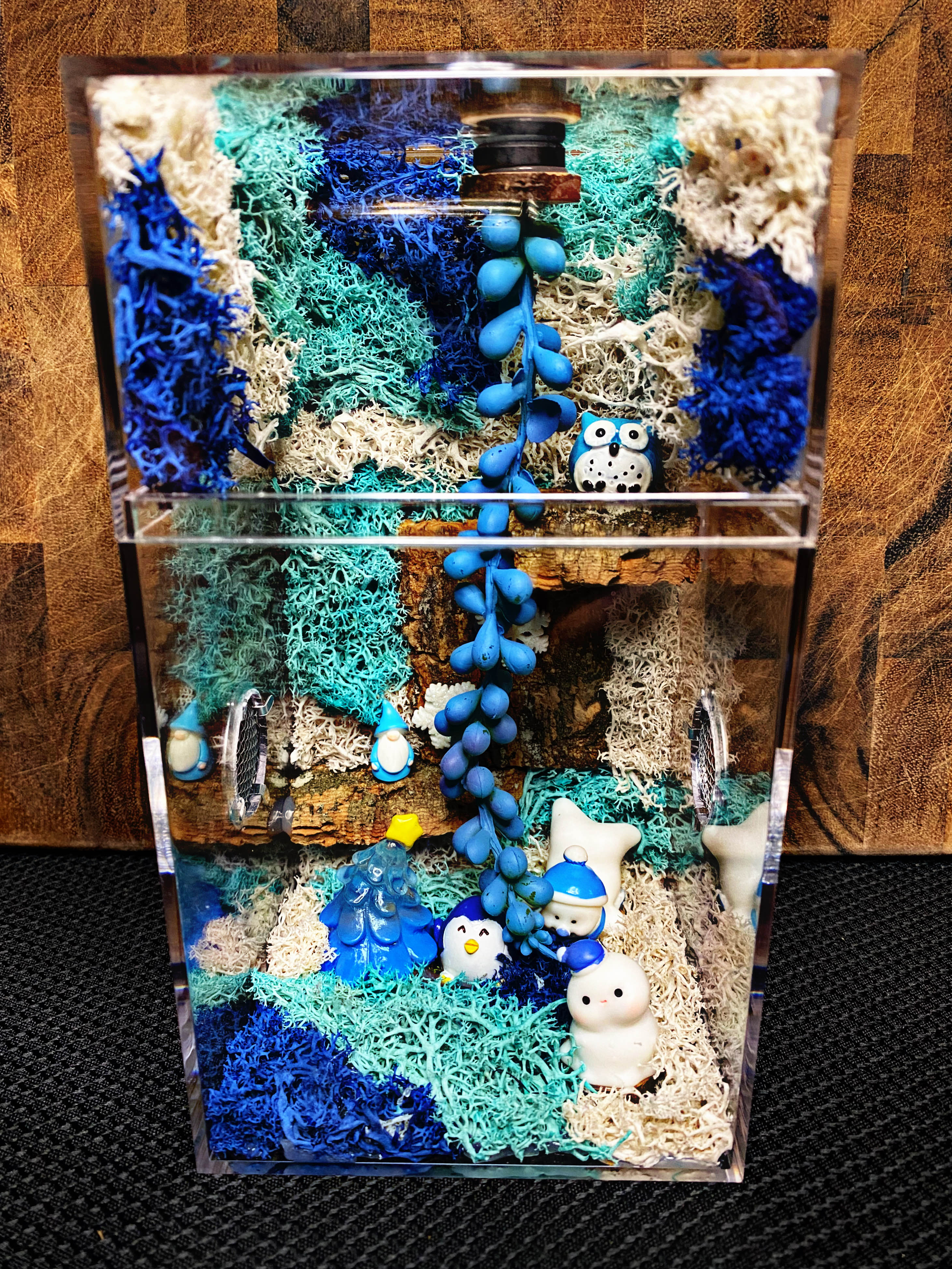 Custom Jumping Spider Enclosure