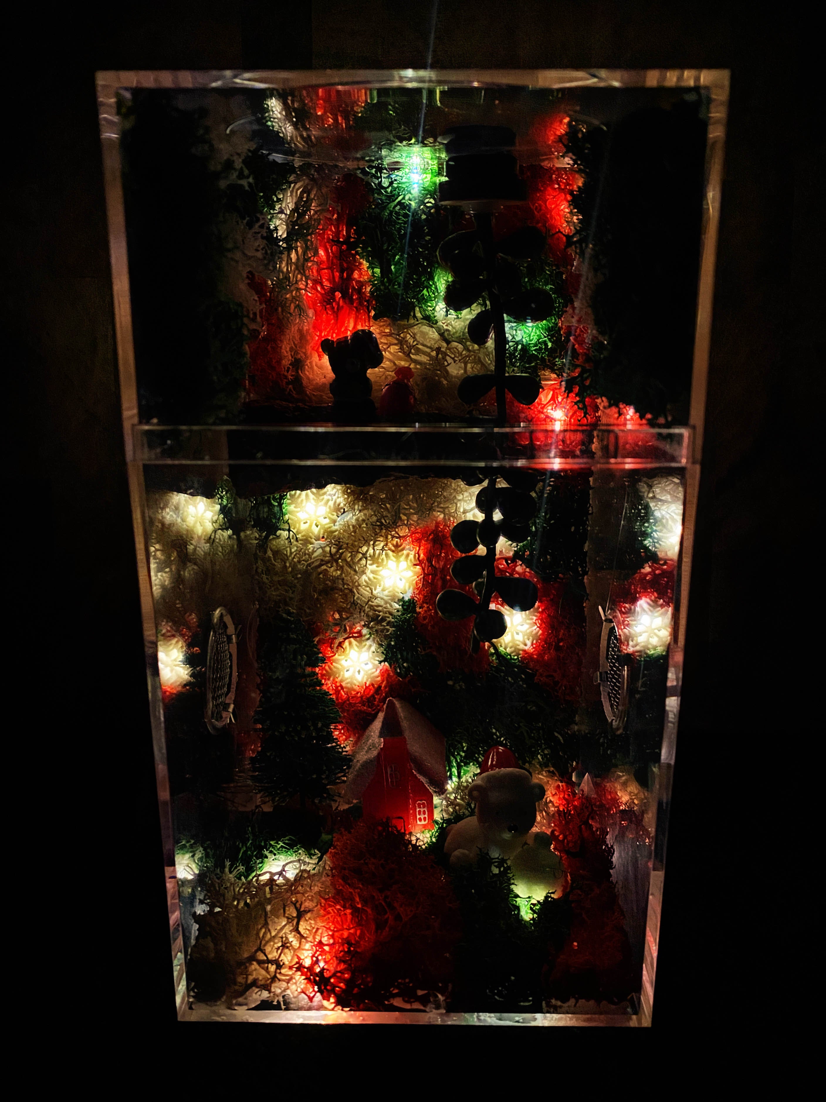 ~Fairy Lights~ Custom Jumping Spider Enclosure