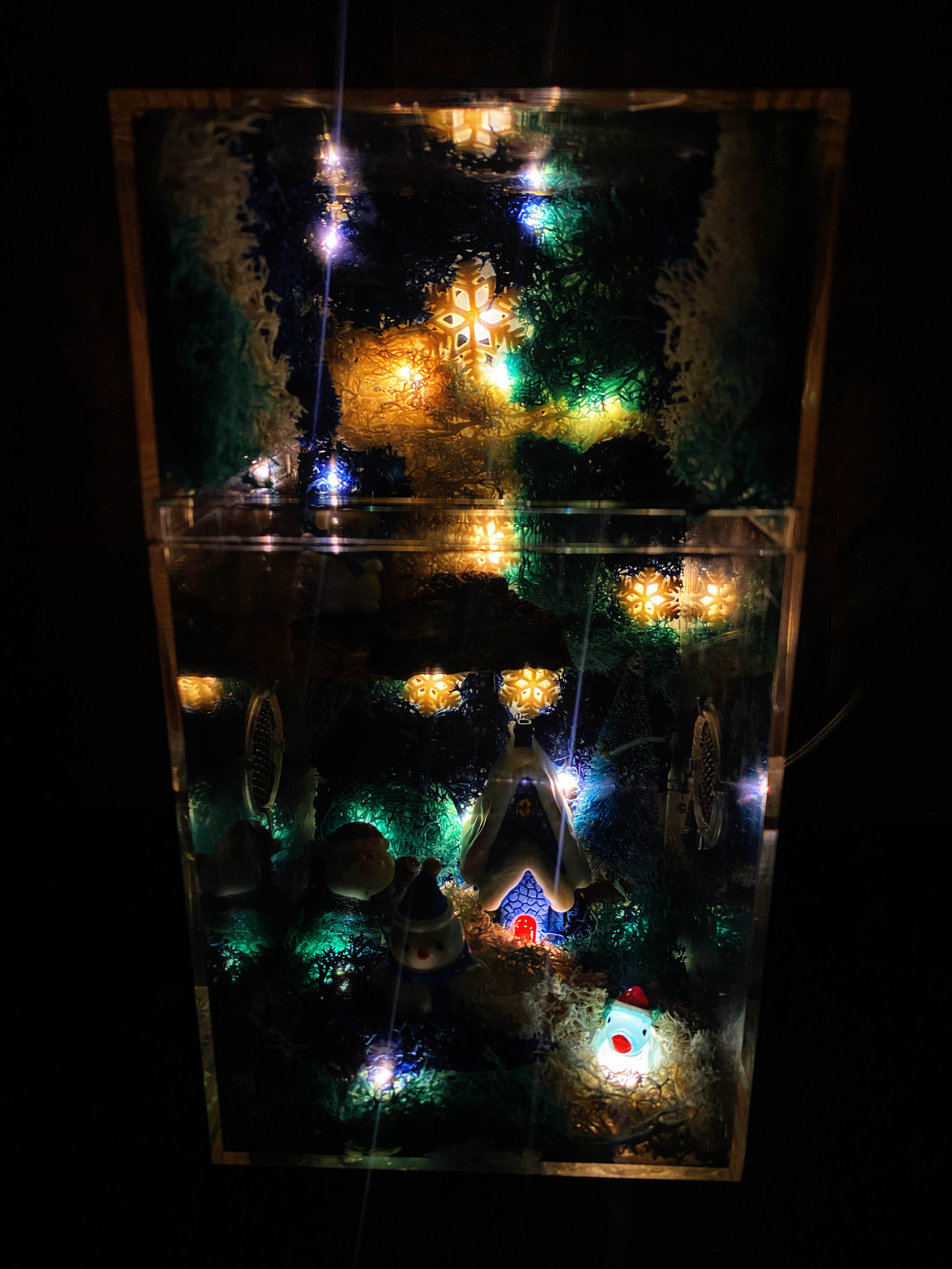 ~Fairy Lights~ Custom Jumping Spider Enclosure