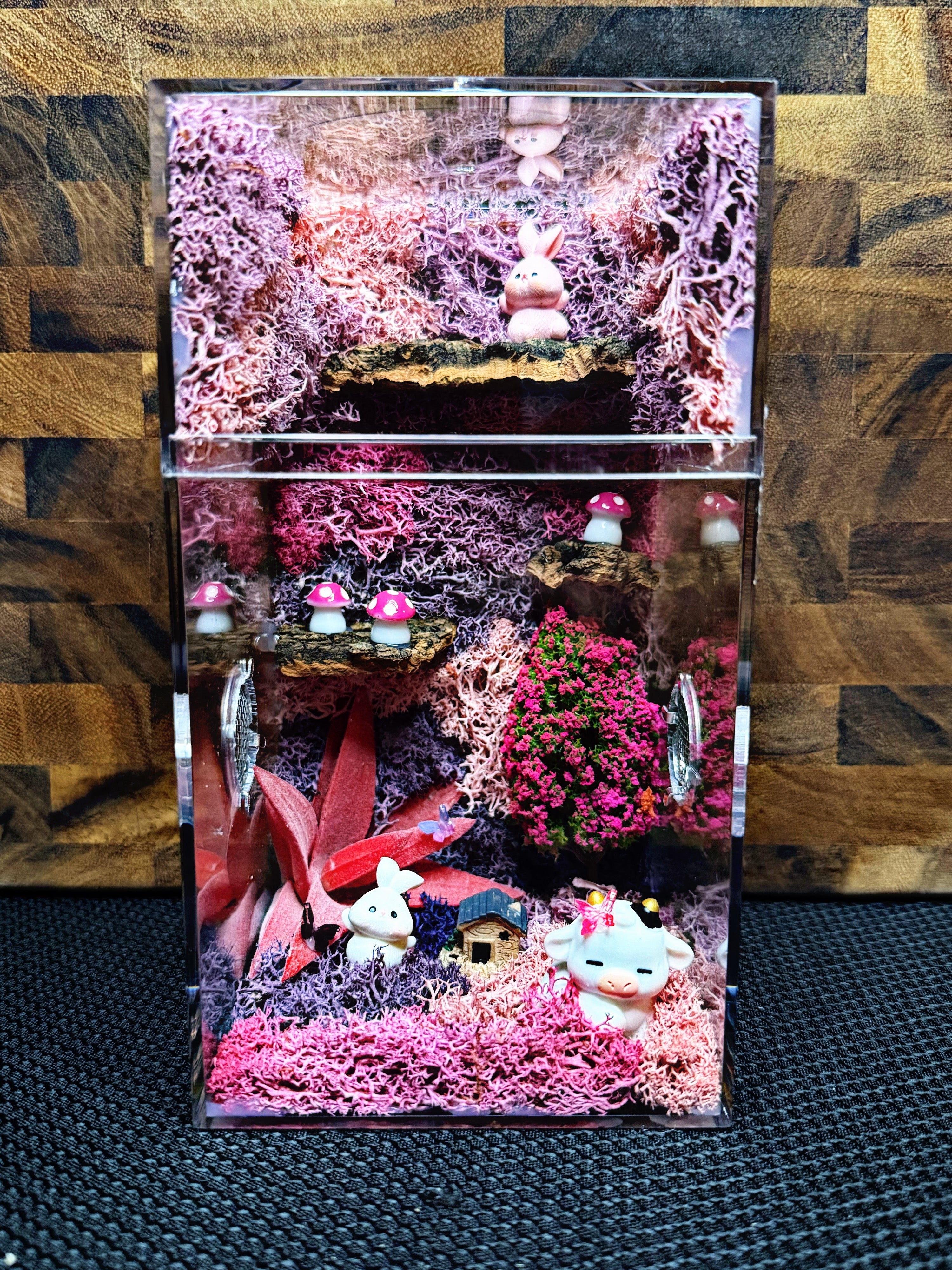 Custom Jumping Spider Enclosure