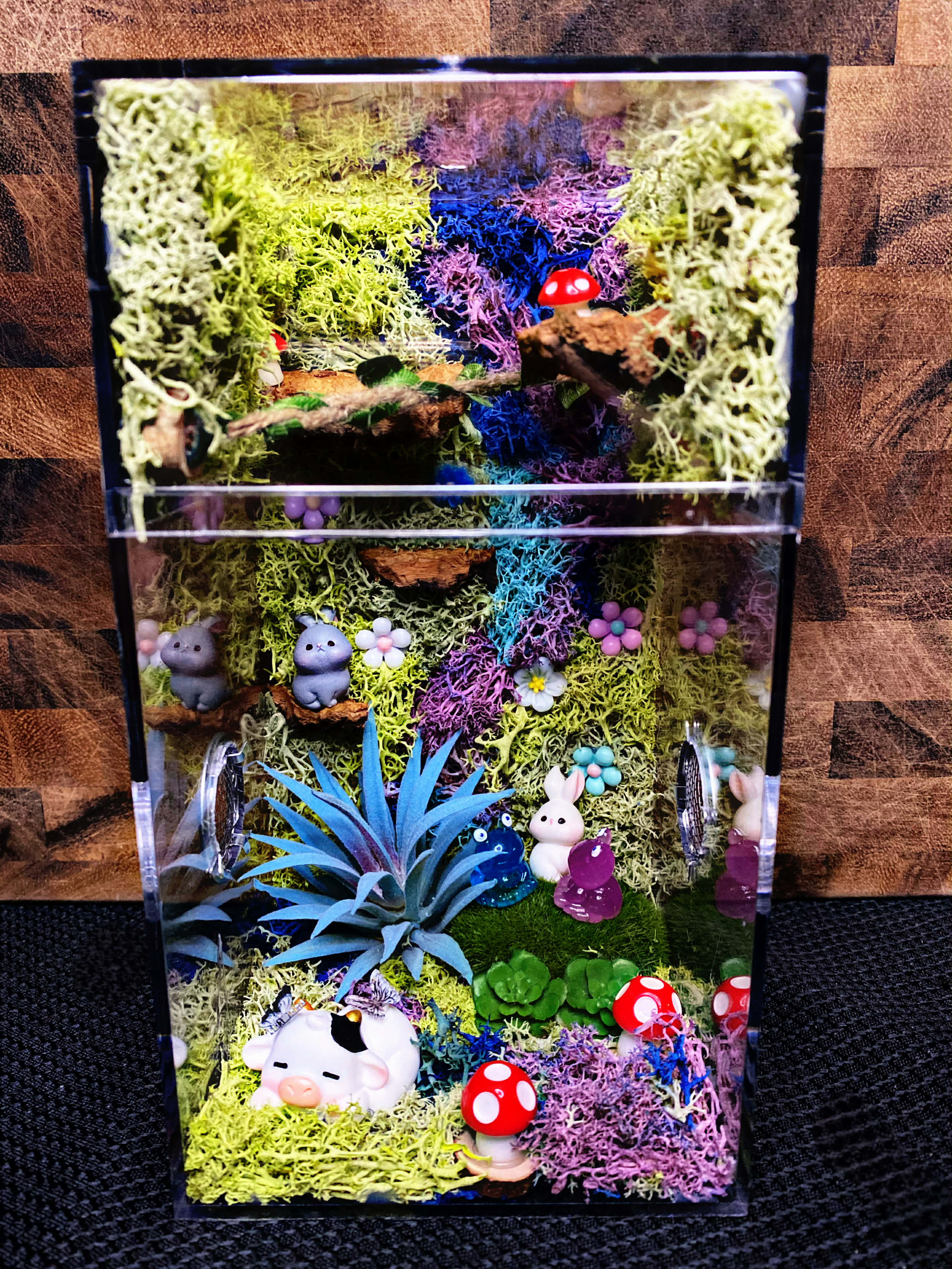 Custom Jumping Spider Enclosure