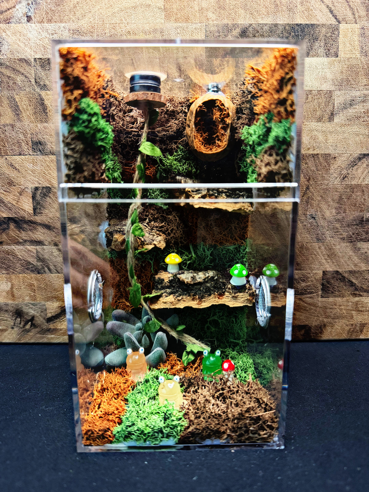 Custom Jumping Spider Enclosure