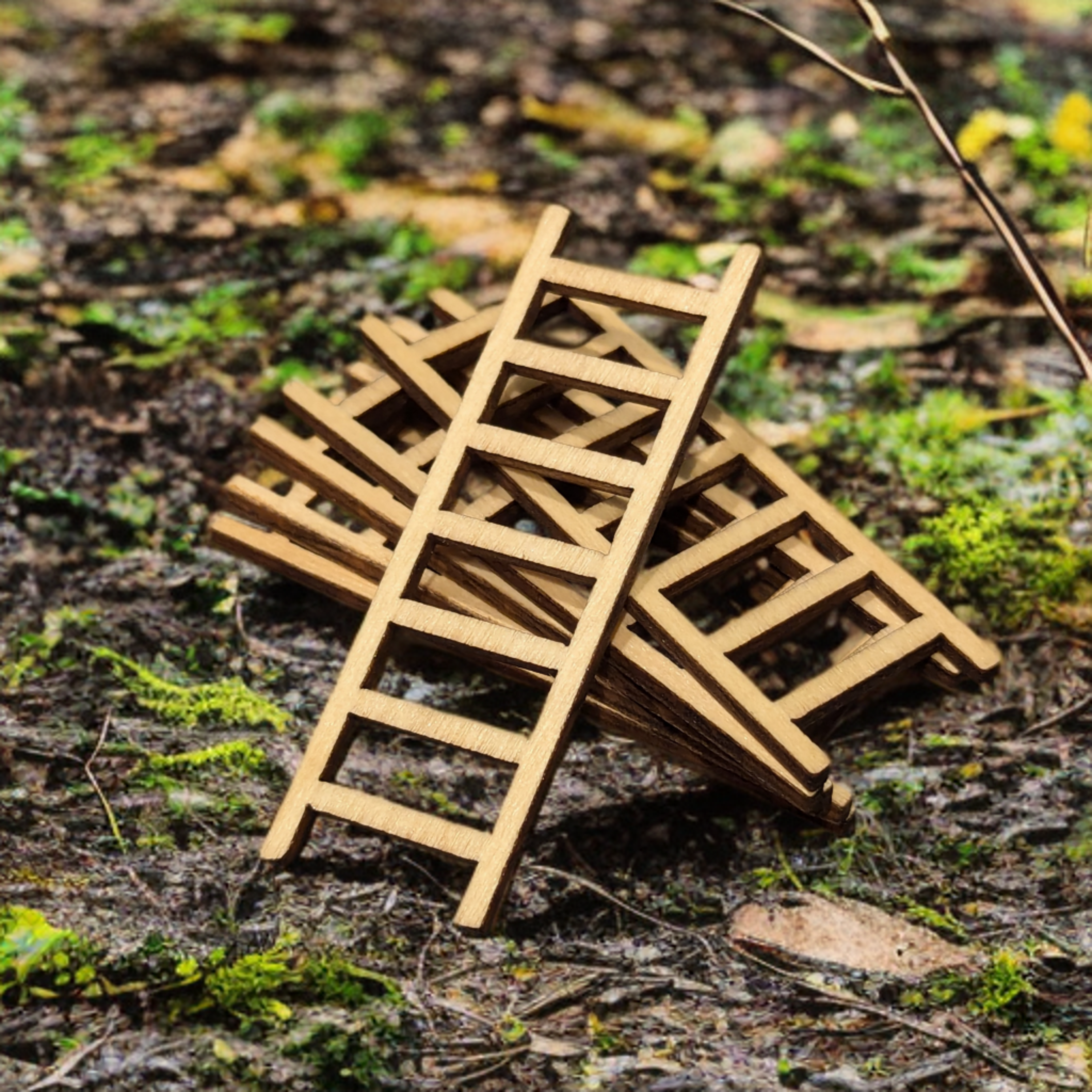 wooden, ladder, miniature, enclosure, jumping spider