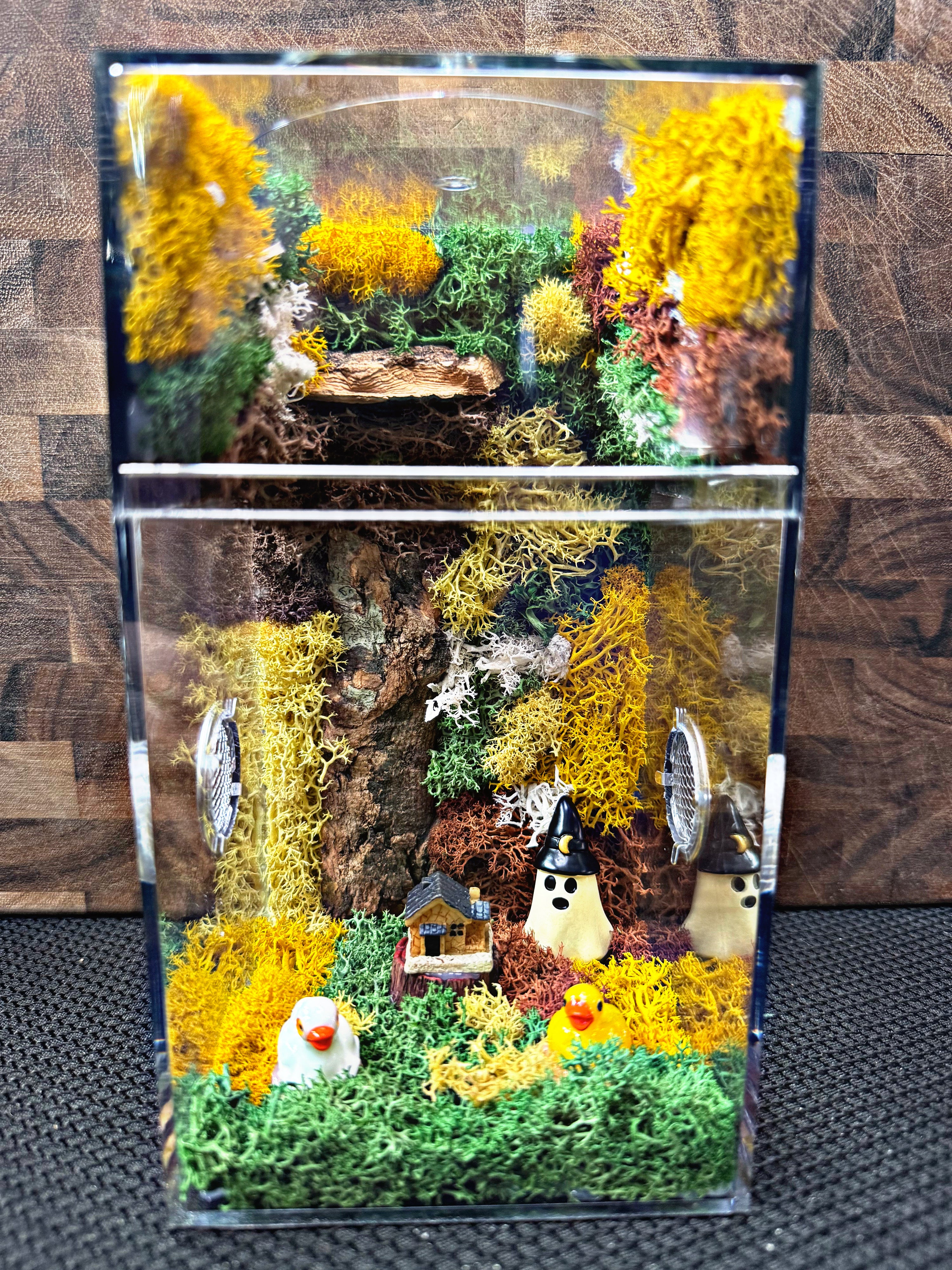 Custom Jumping Spider Enclosure
