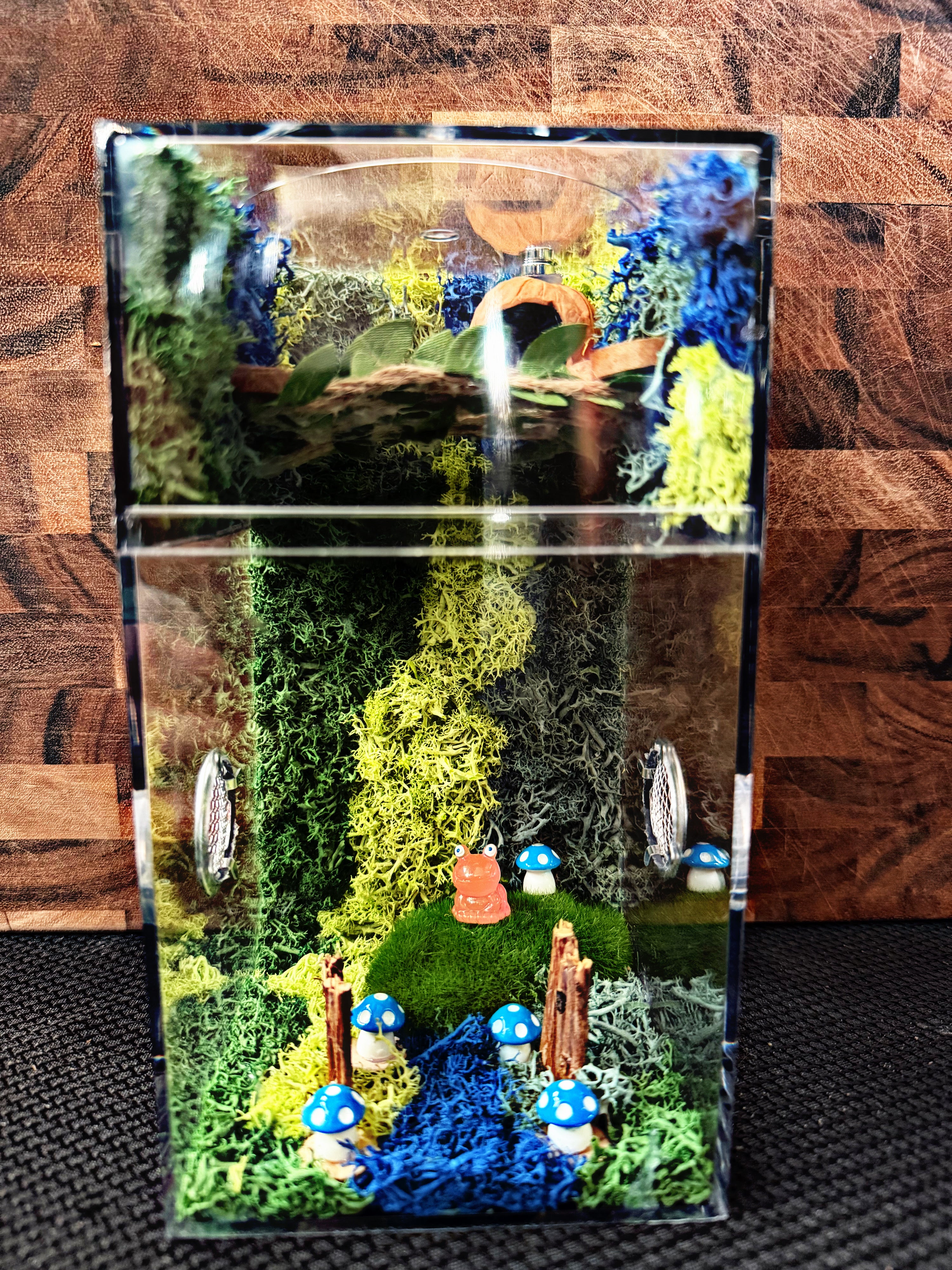 Custom Jumping Spider Enclosure