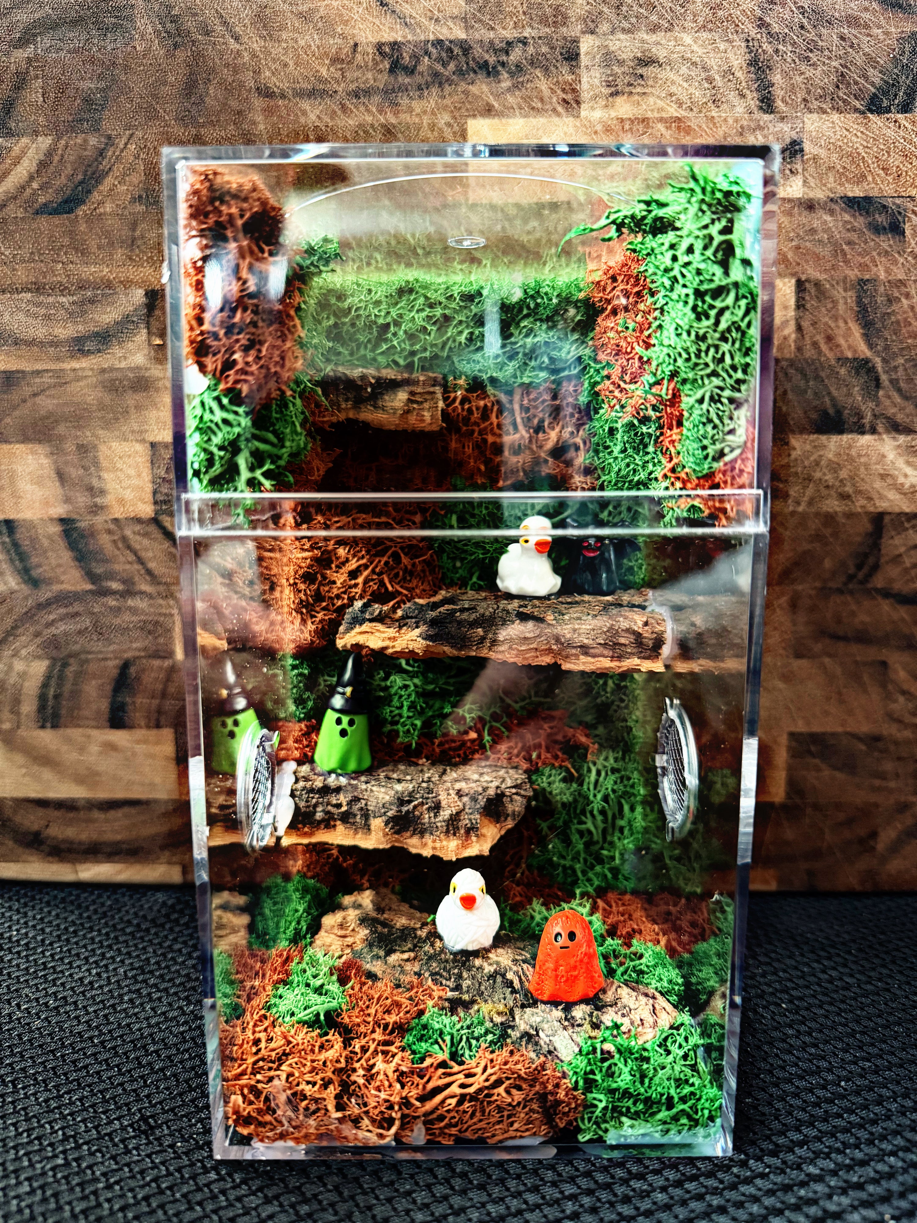 Custom Jumping Spider Enclosure