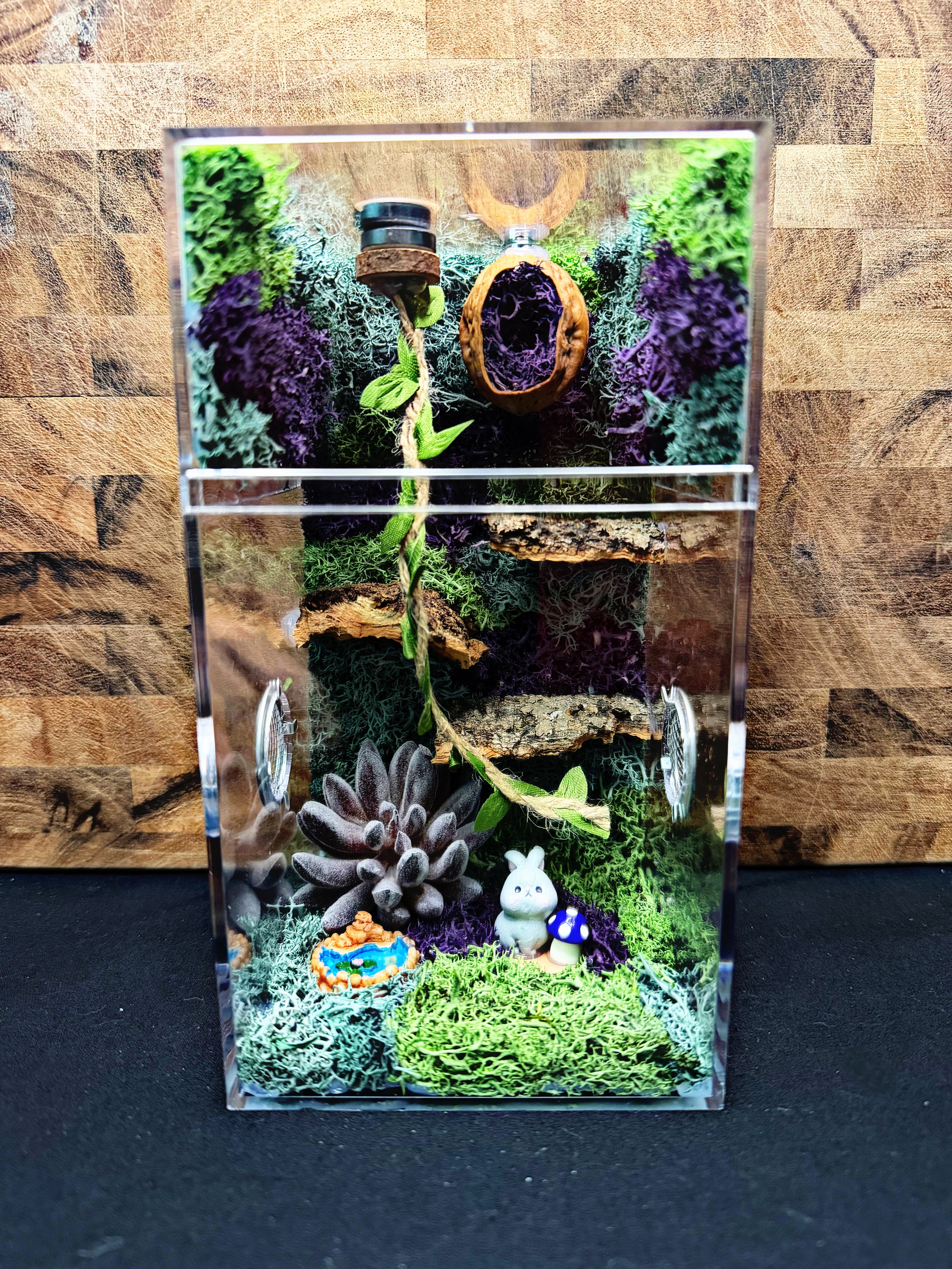 Custom Jumping Spider Enclosure