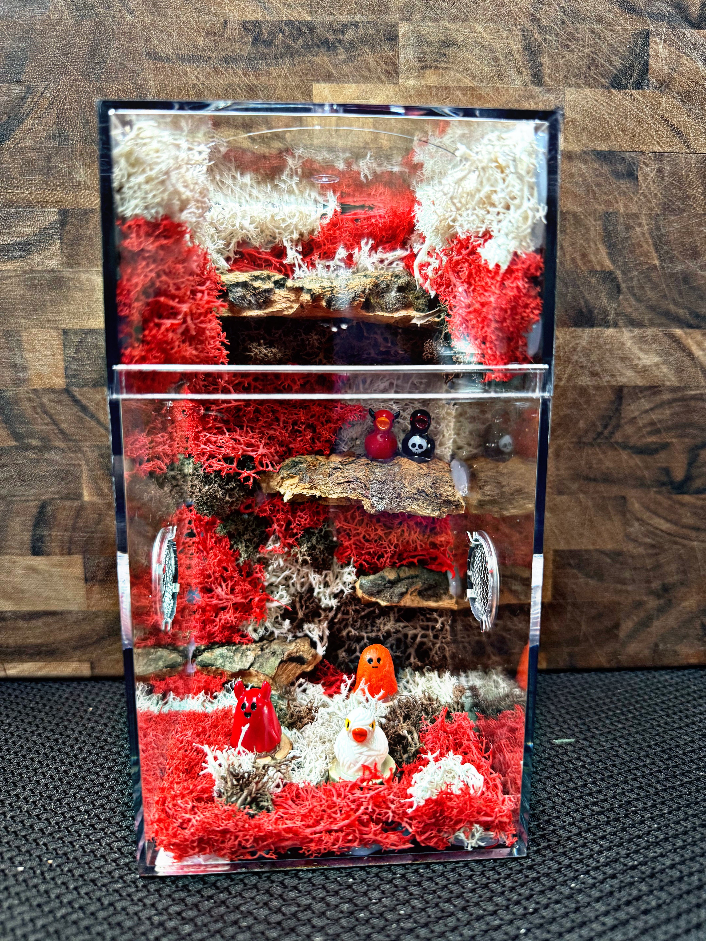 Custom Jumping Spider Enclosure