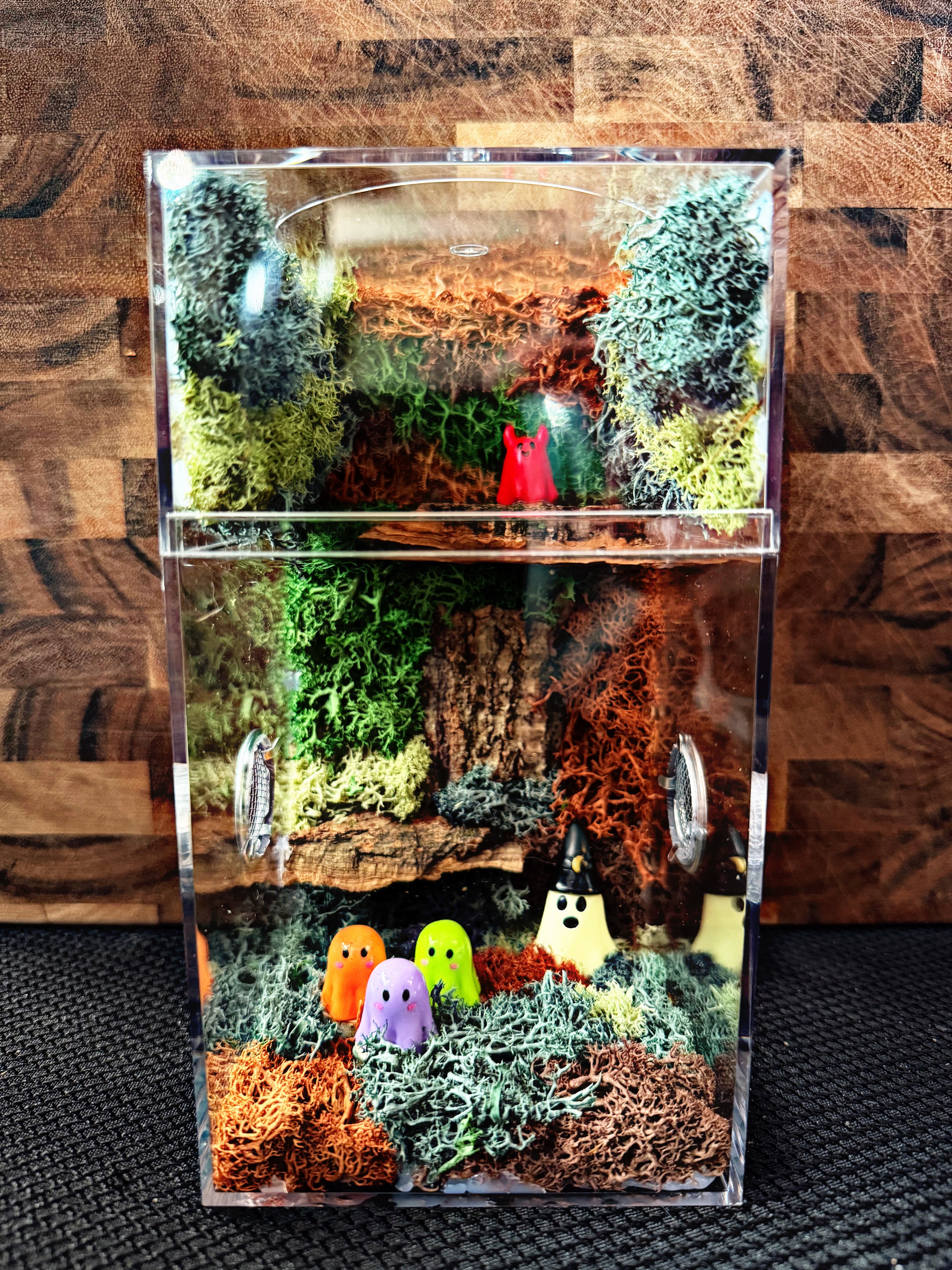 Custom Jumping Spider Enclosure