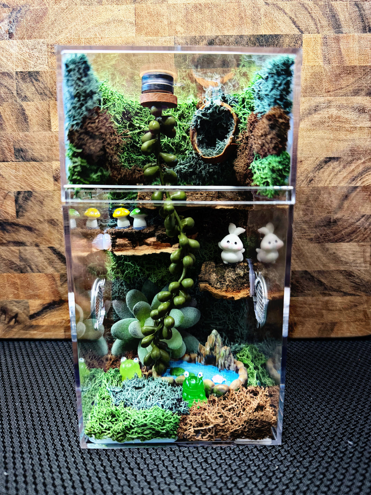 Custom Jumping Spider Enclosure