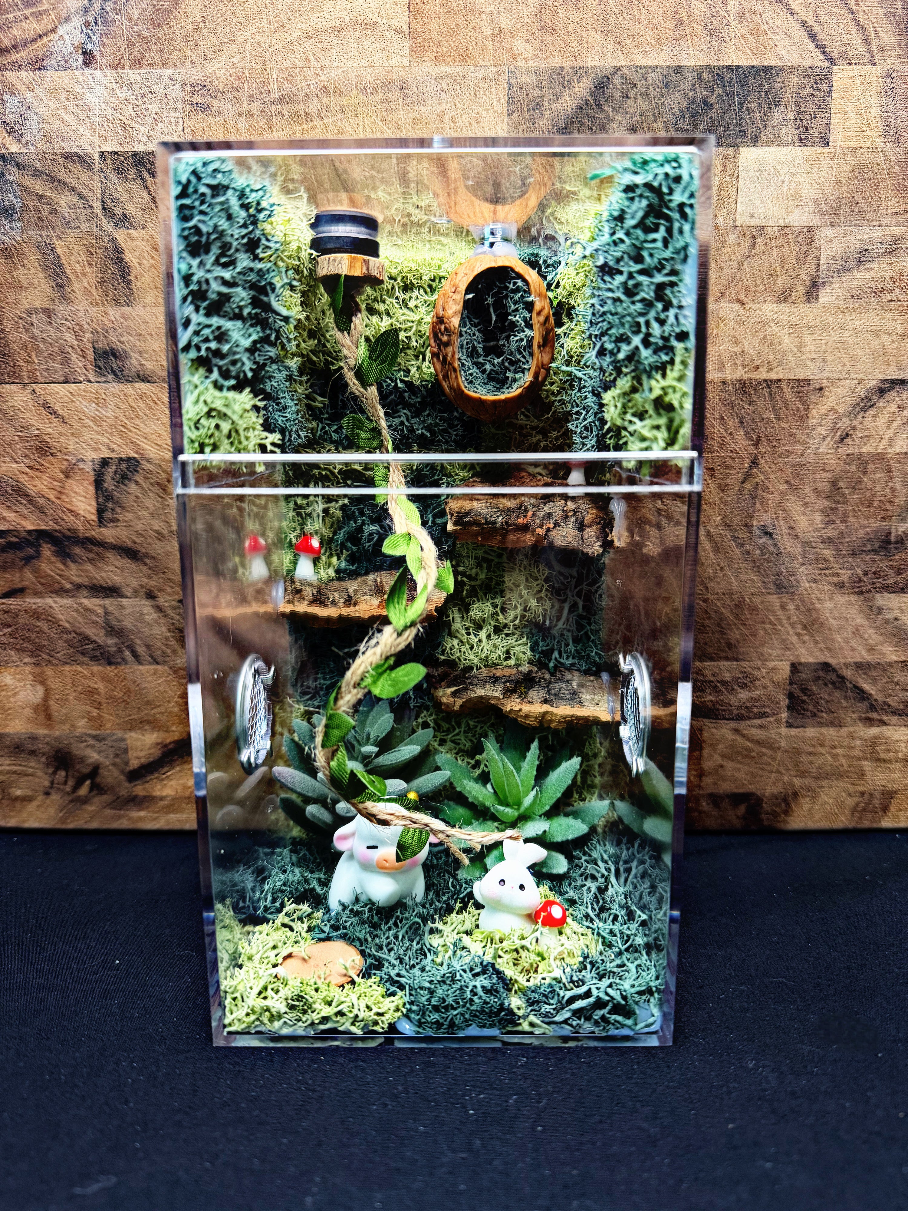 Custom Jumping Spider Enclosure