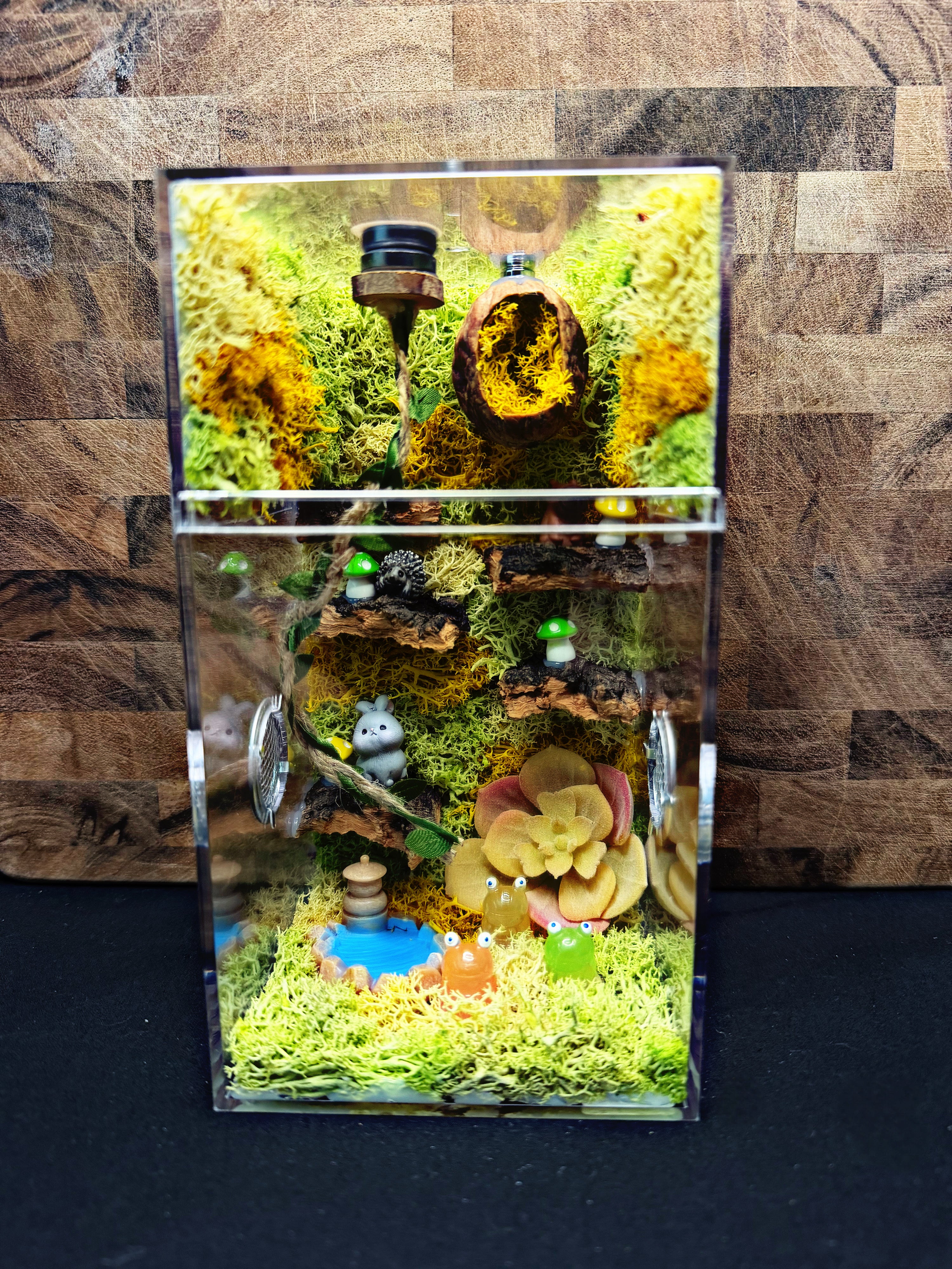 Custom Jumping Spider Enclosure