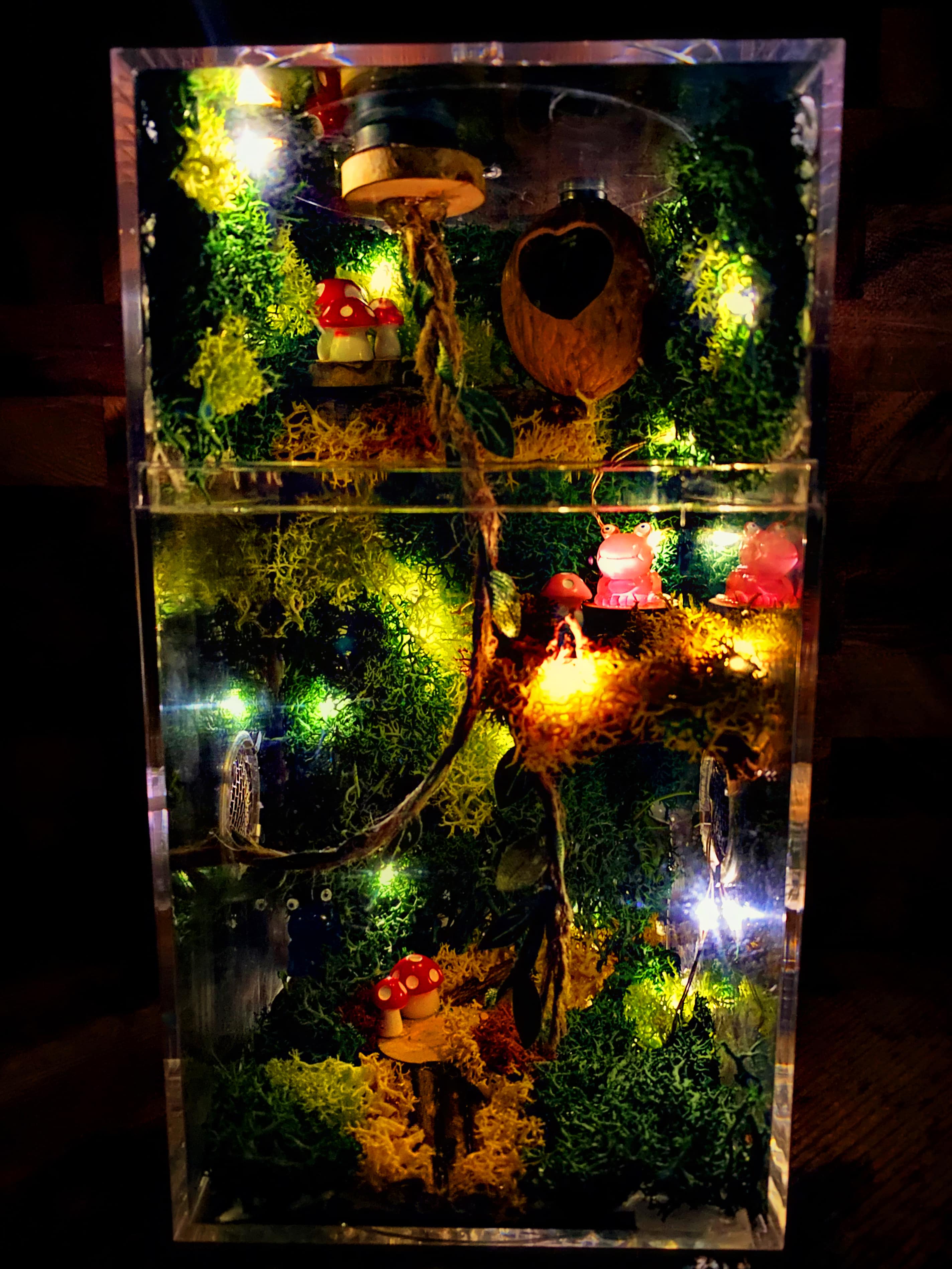 ~Fairy Lights~ Custom Jumping Spider Enclosure