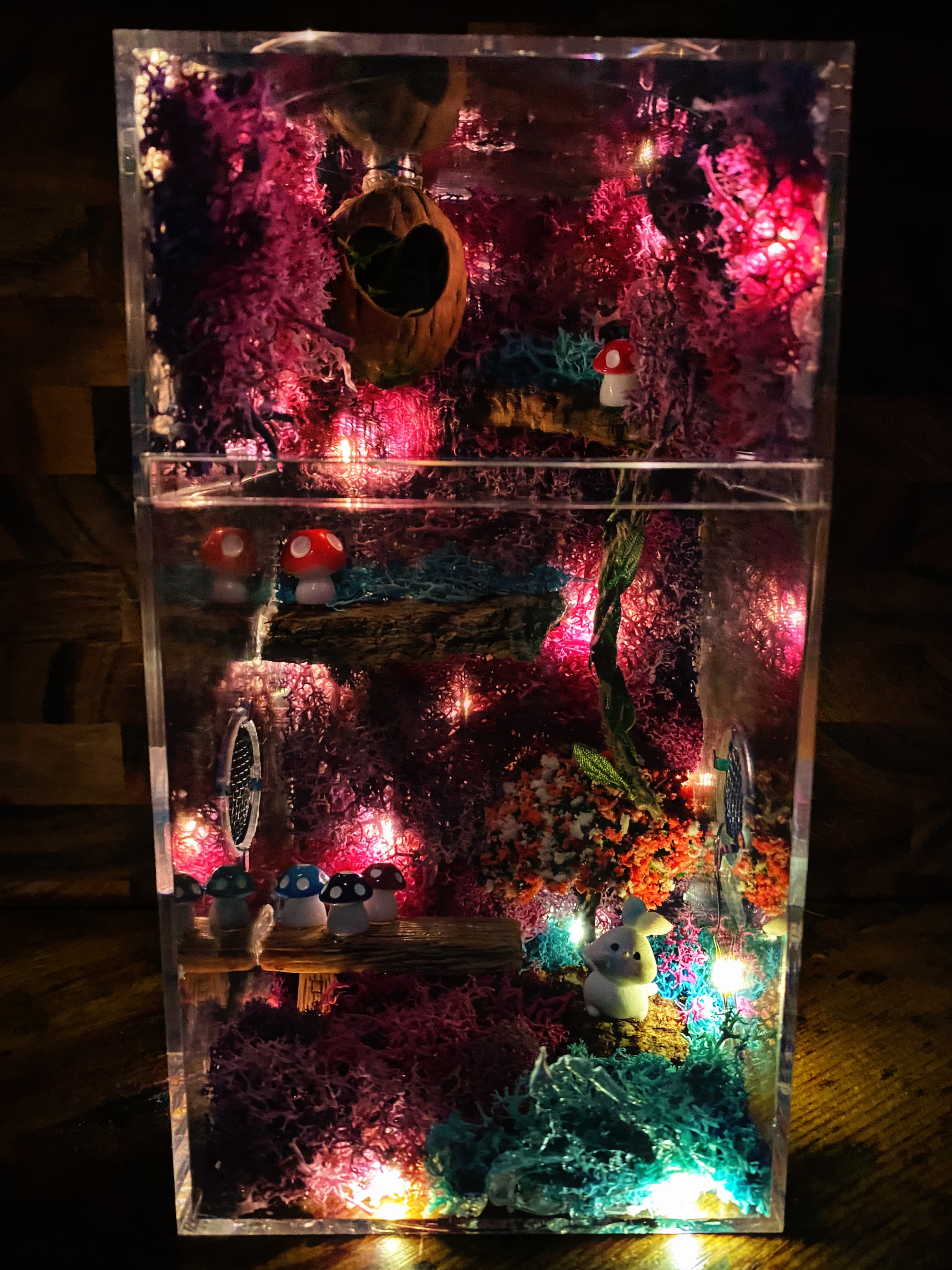 ~Fairy Lights~ Custom Jumping Spider Enclosure